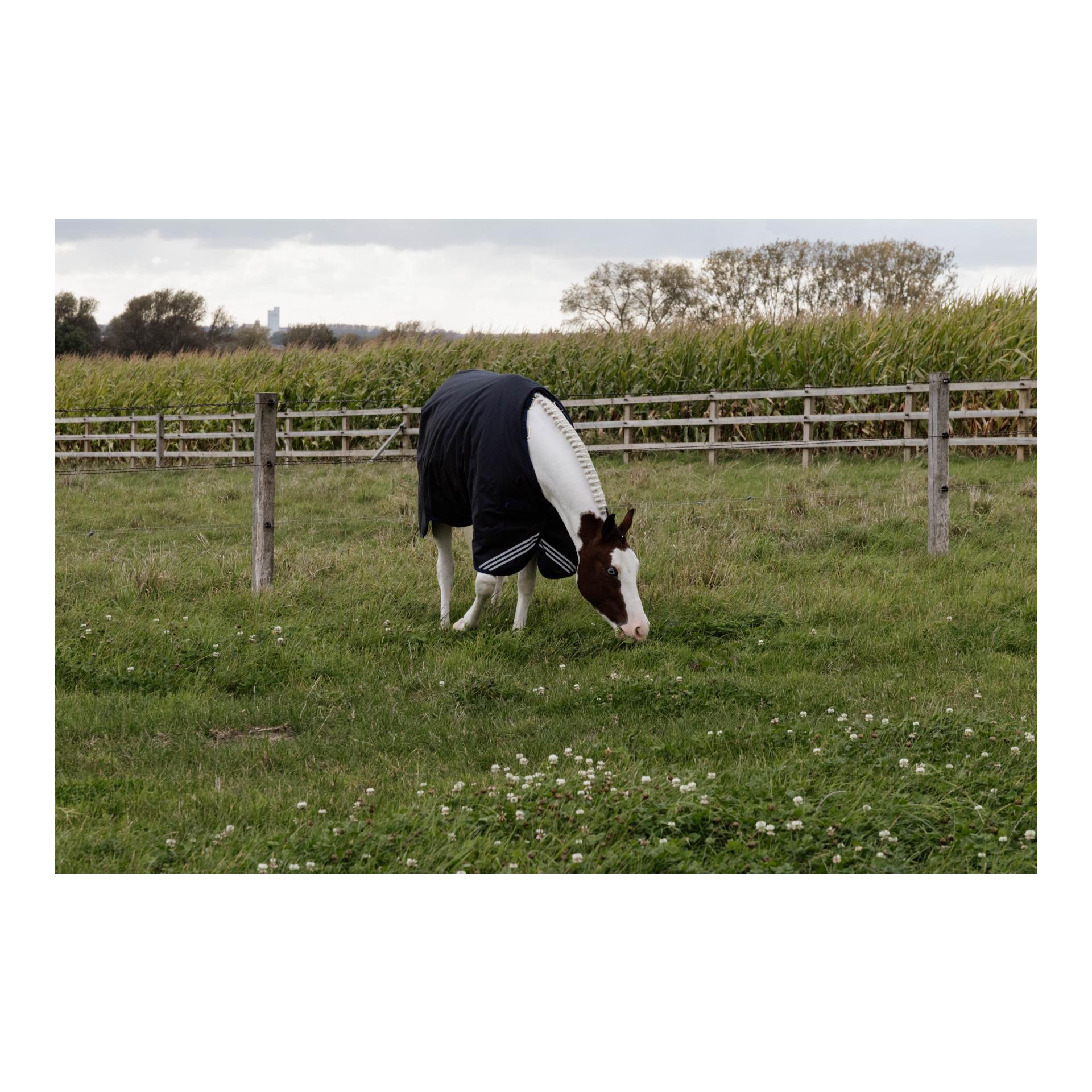 Kentucky Weidedecke all Weather waterproof Comfort 400g