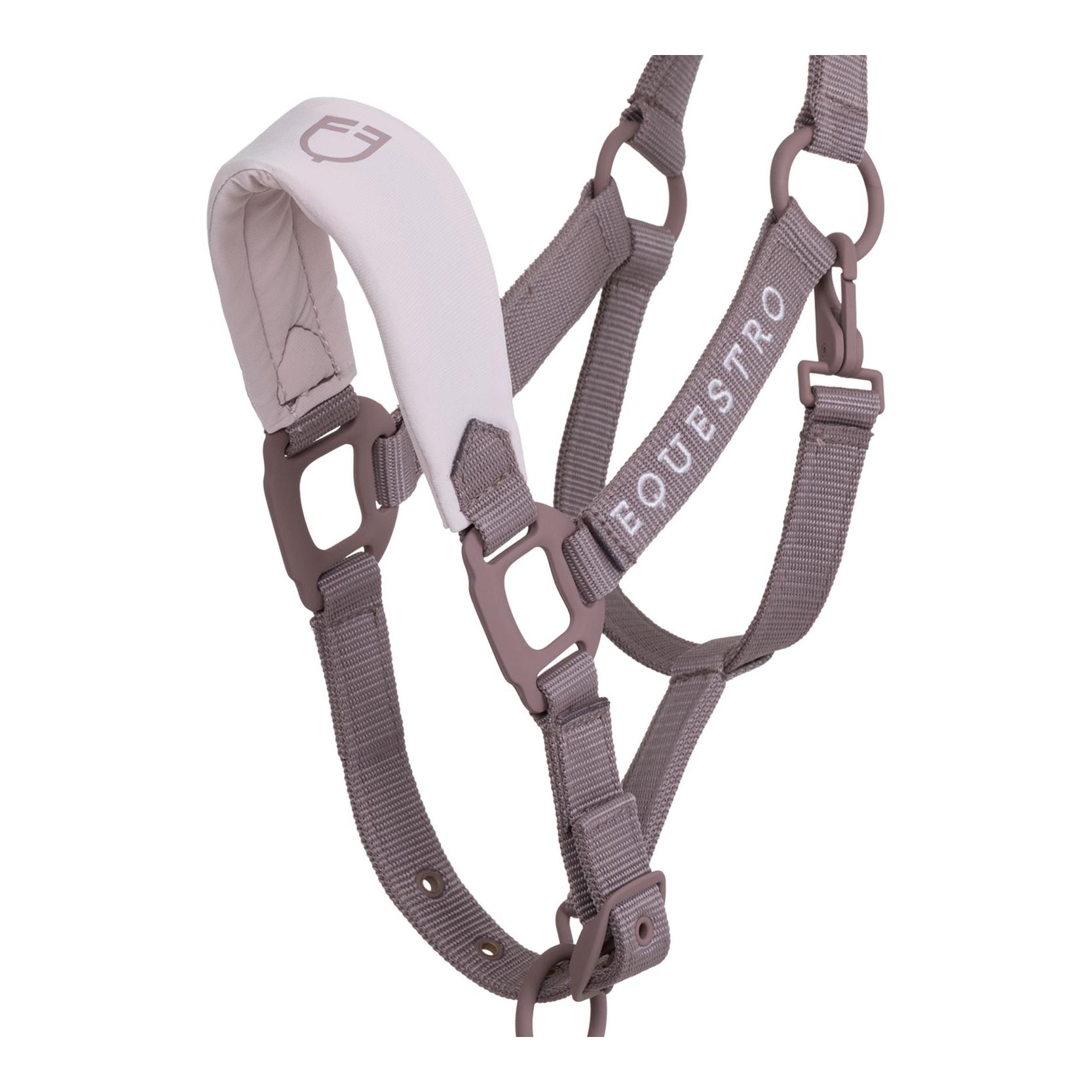 Equestro Licol avec boucles recouvertes de caoutchouc