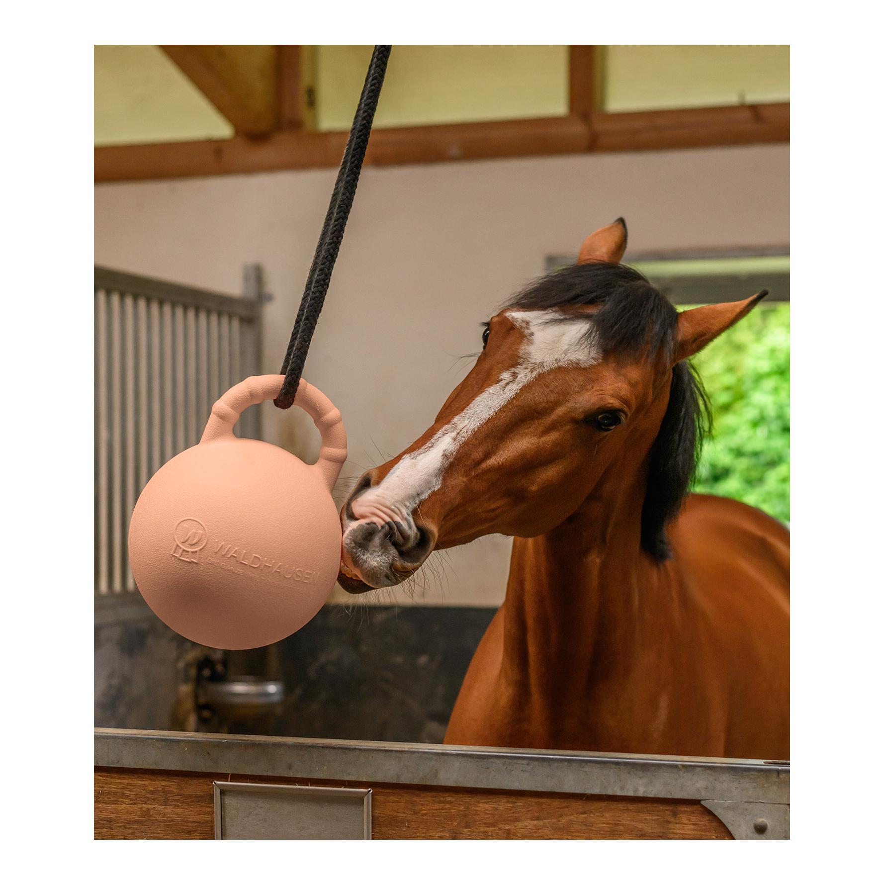 Waldhausen Fun Ball