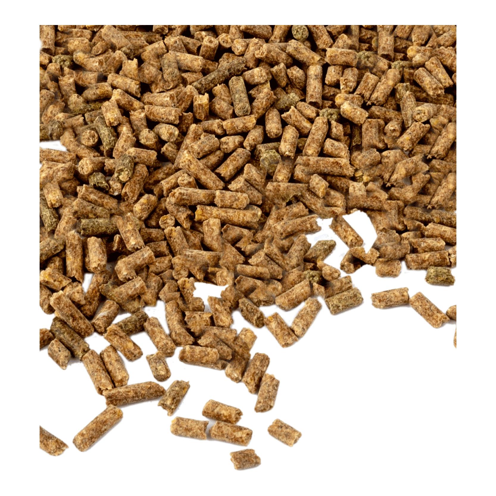 Waldhausen Vitamine E – pour plus de performance