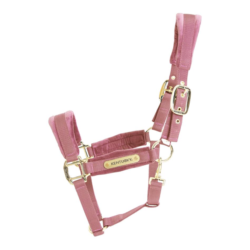 Alt Rosa