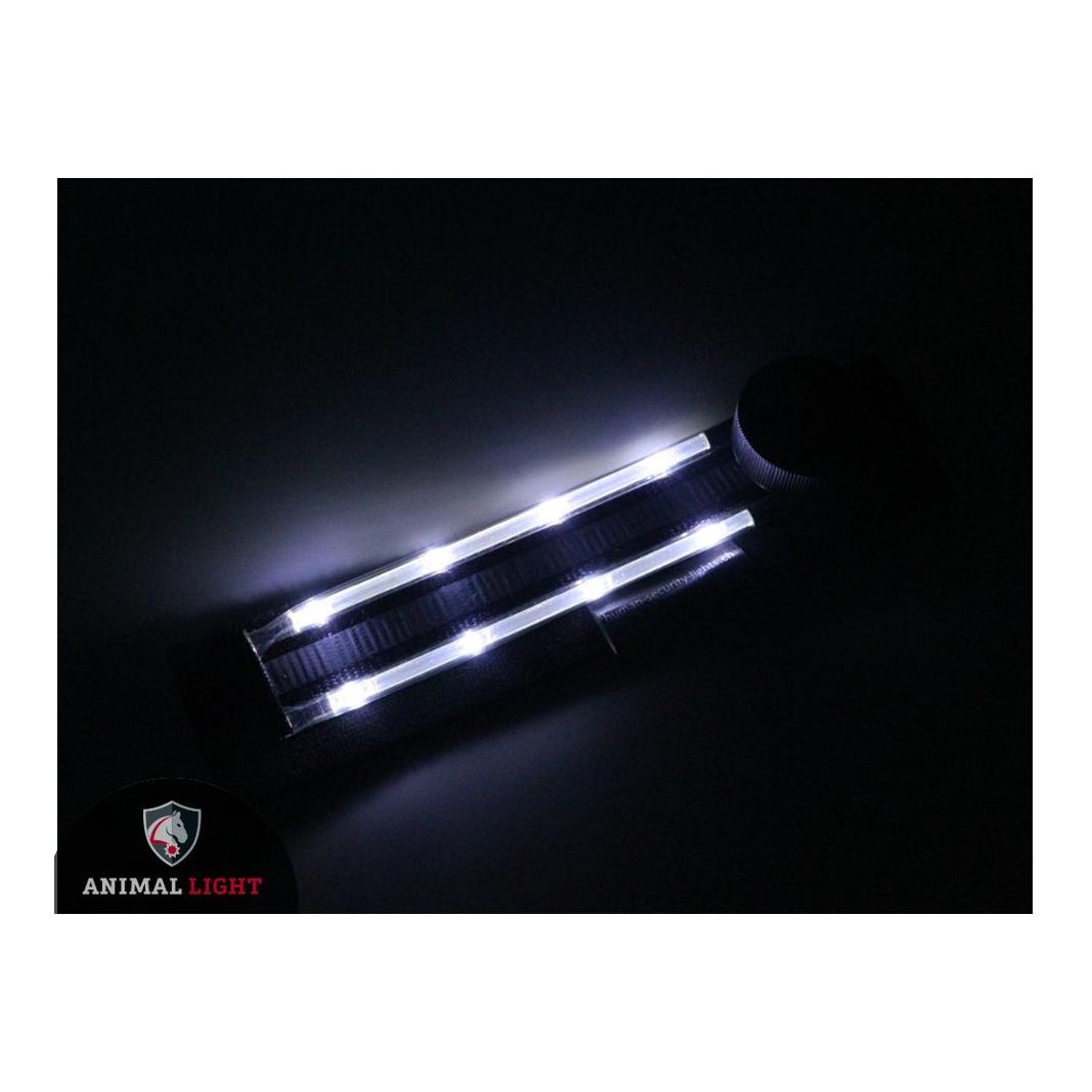 Animal Light Leucht - Harnais pour chien « Flex » - blanc