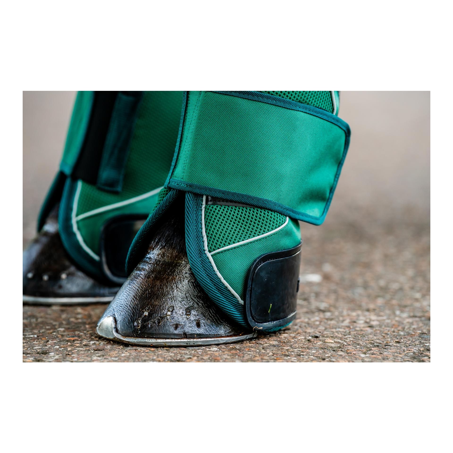 Horseware Transportgamaschen Signature