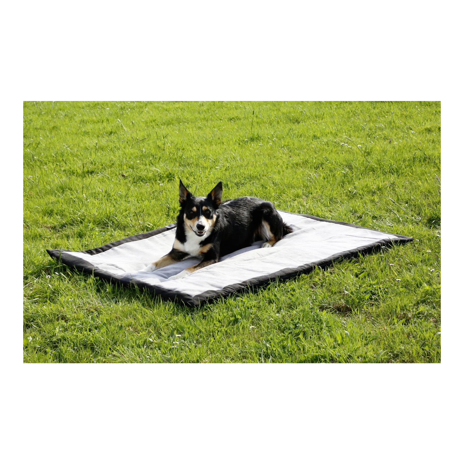 Kerbl Pet Tapis pour chien Trip - gris/noir