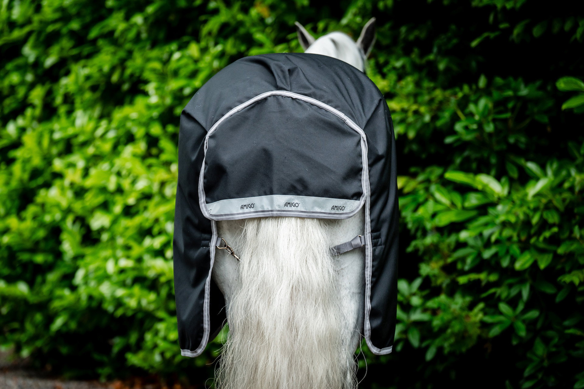 Horseware Weidedecke mit Halsteil Amigo 12 Plus 250g