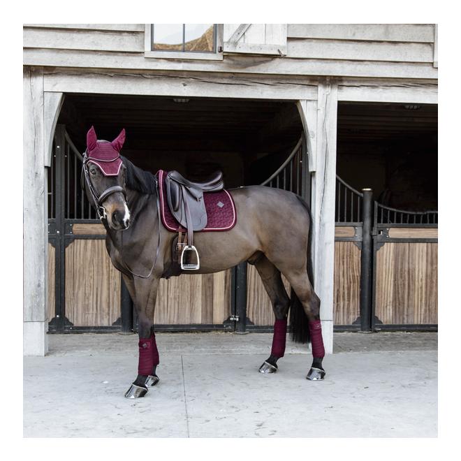 Kentucky Schabracke Velvet Samt - bordeaux