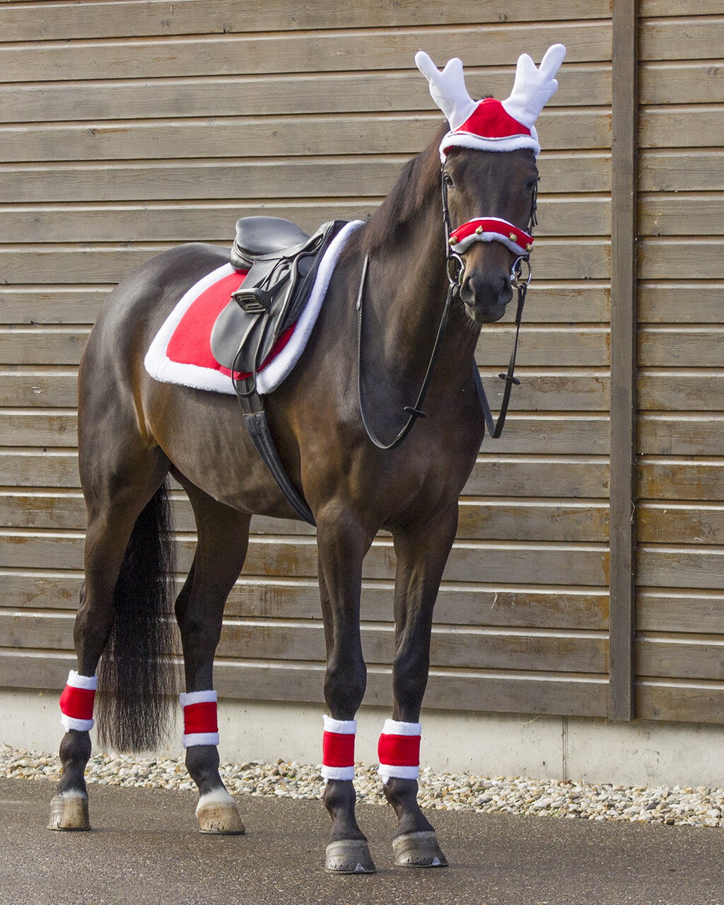QHP Halfterpelz mit Weihnachtskugeln