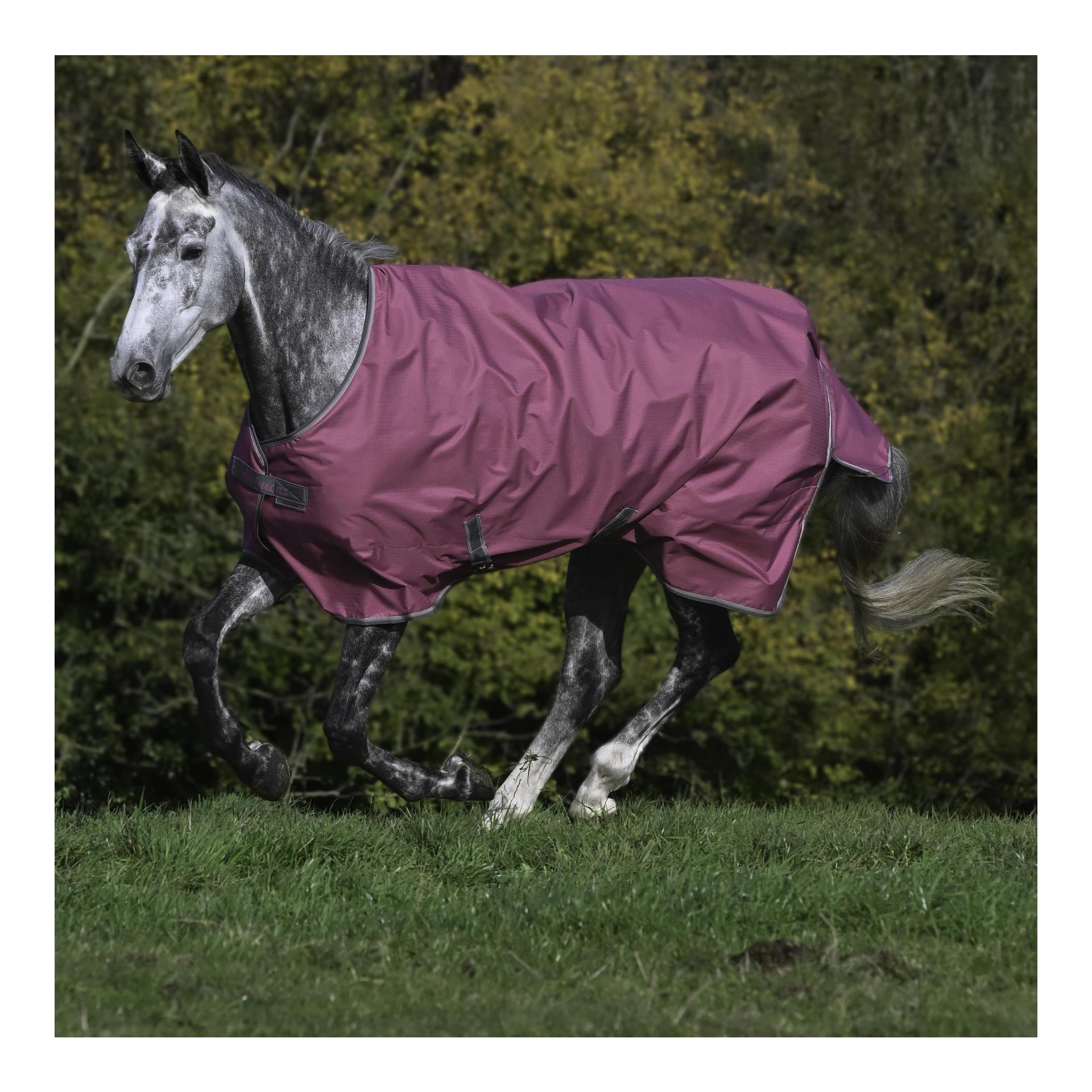 Bucas Weidedecken Freedom Turnout Light
