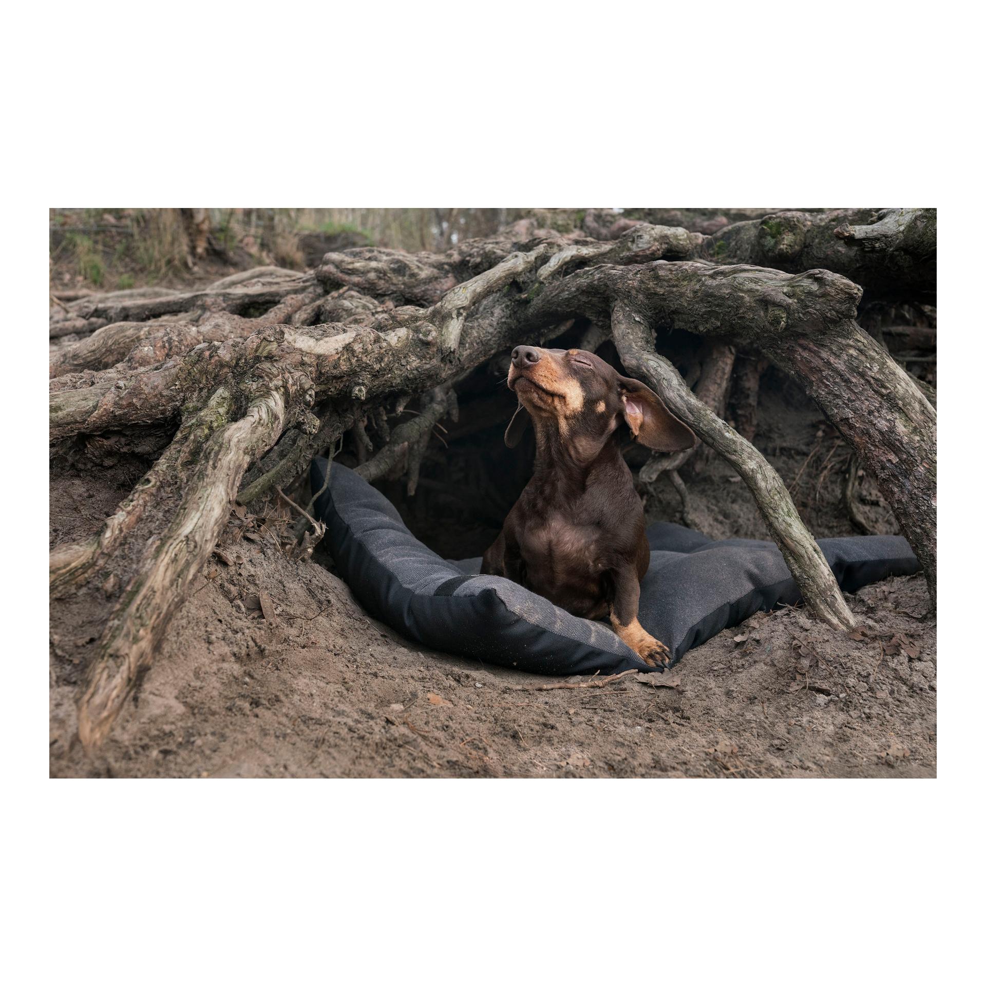 Cloud 7 Coussin pour chien RESC7UE