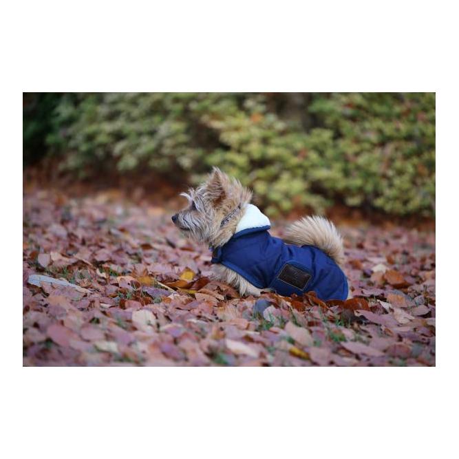 Hundemantel Original - marine