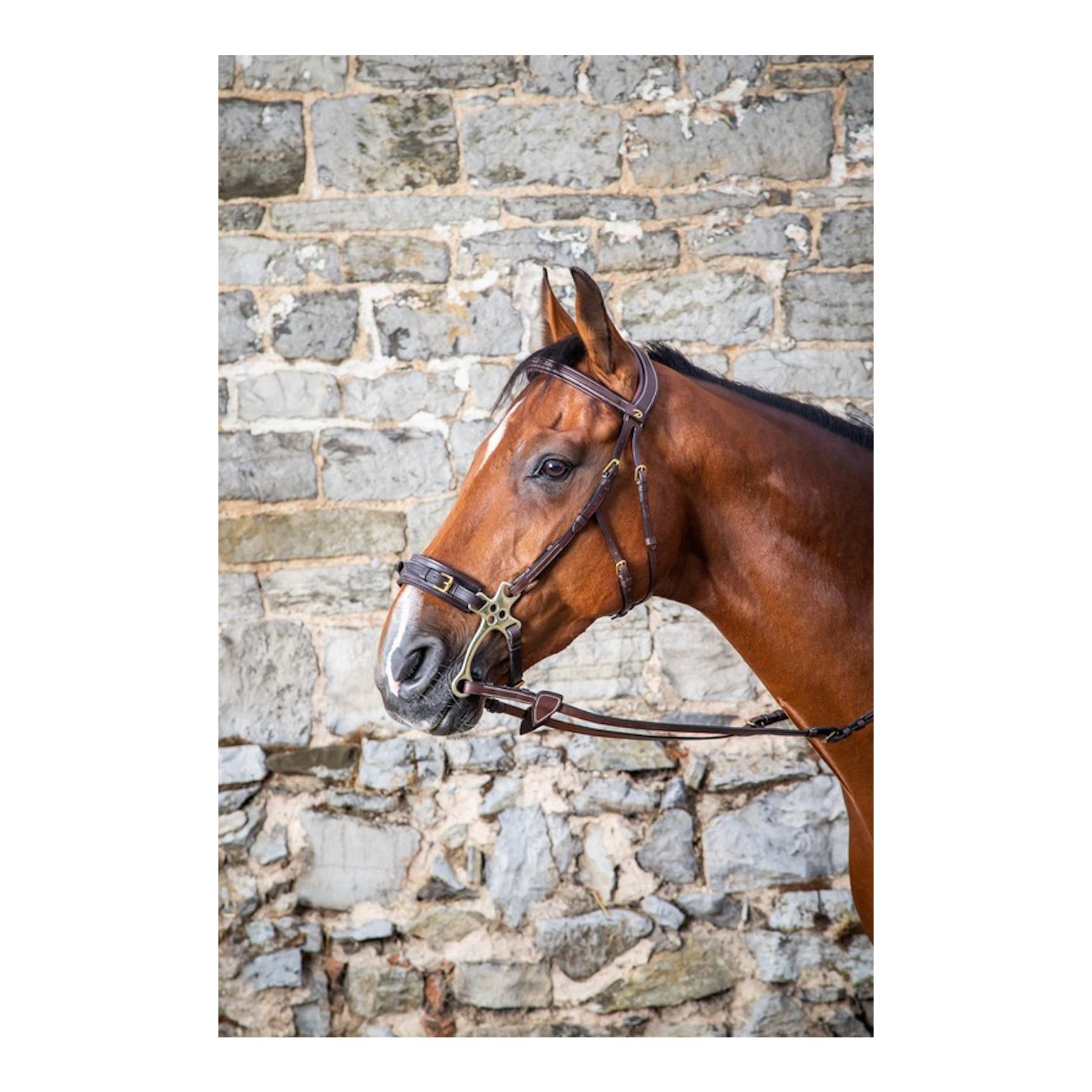 Dy'on Zaum Hackamore Dy'on Collection - braun