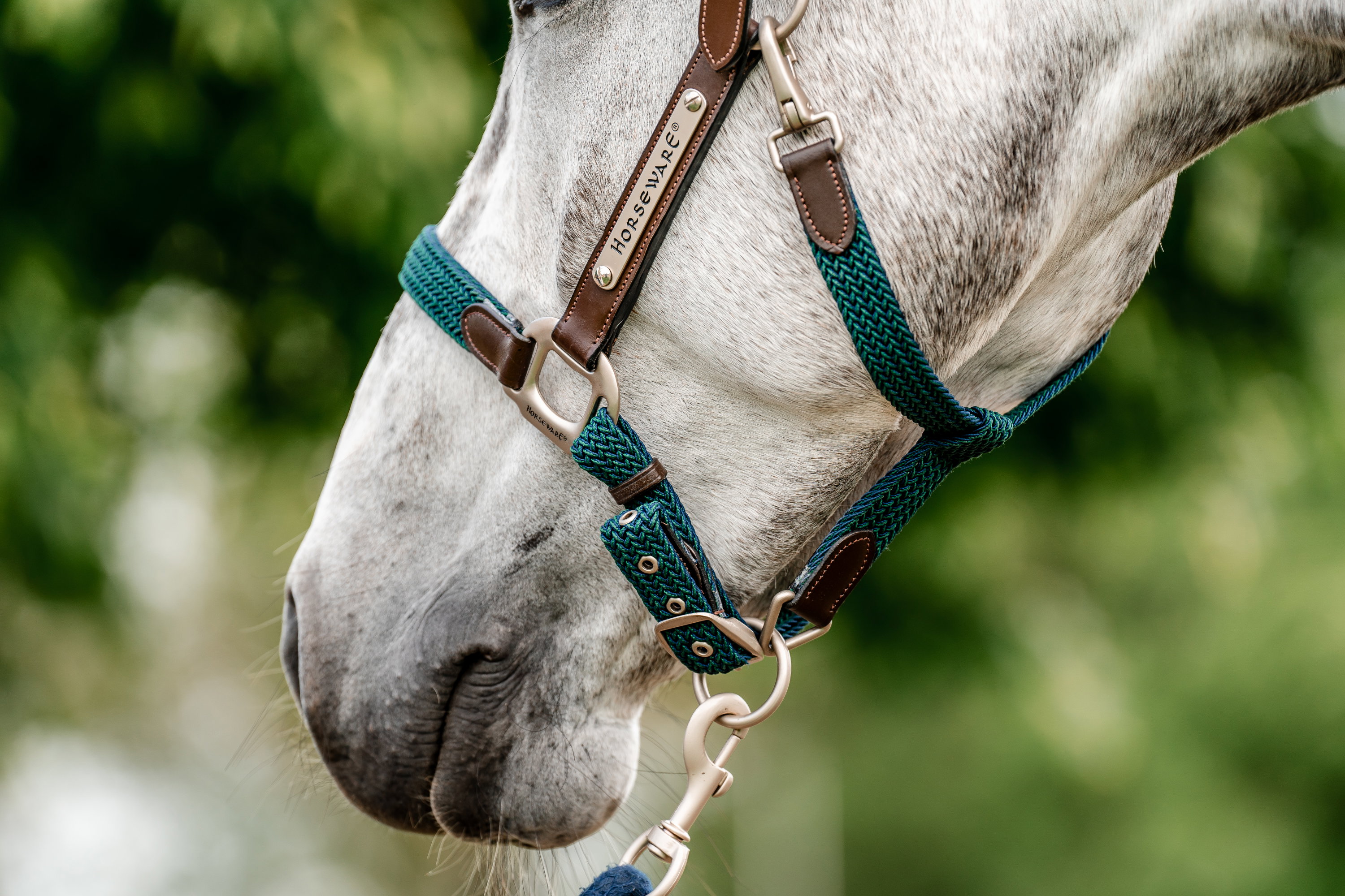 Horseware Halfter Signature Braided