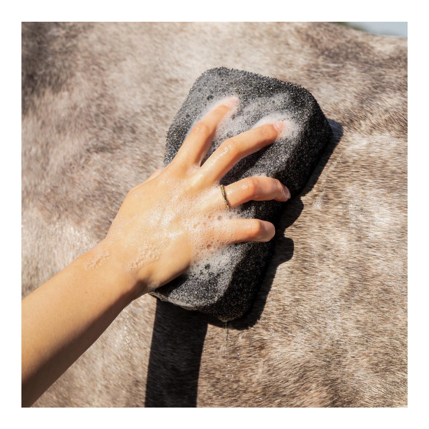 QHP Equi Super Shiner - Pferdeschwamm zur Fellreinigung