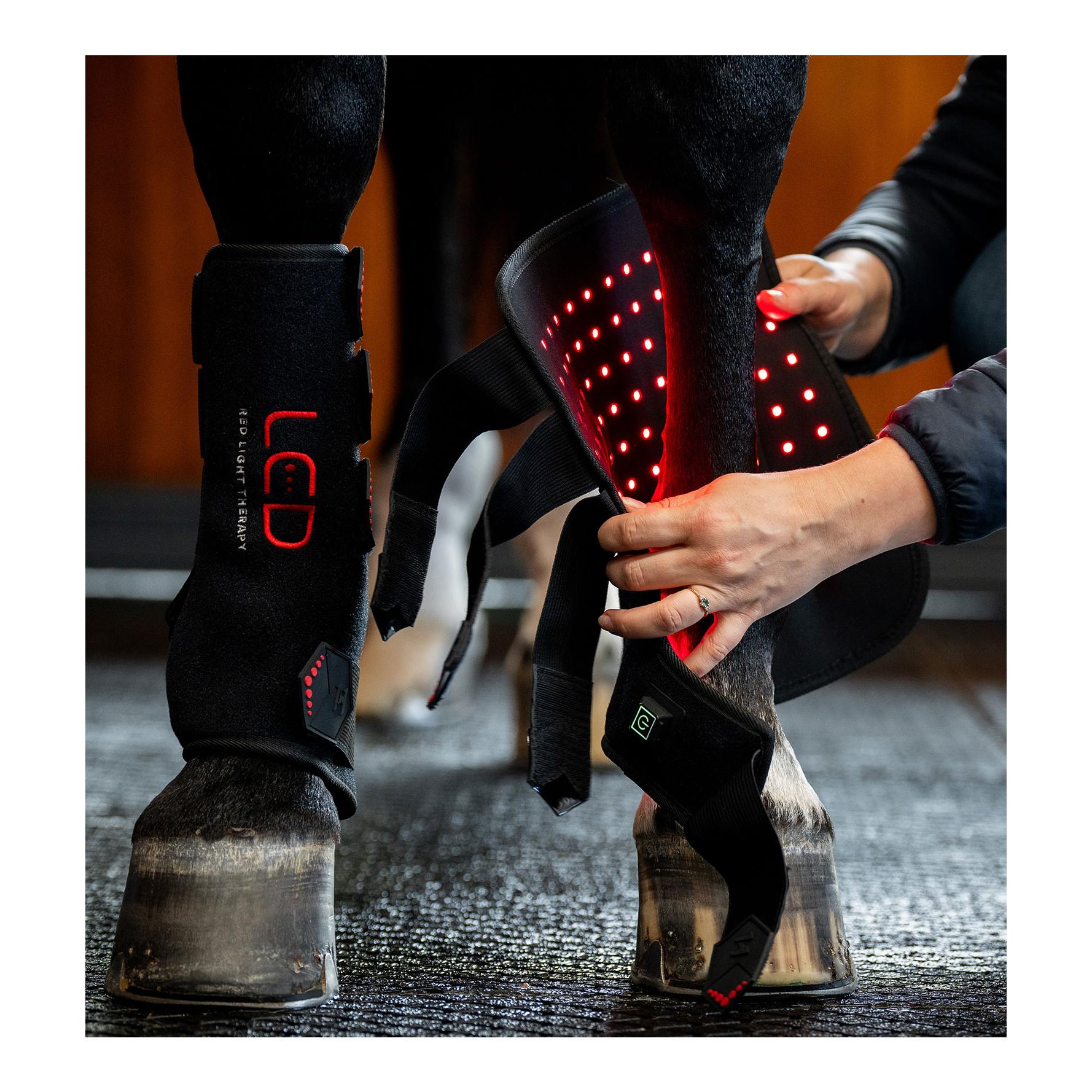 Horseware Therapie Gamasche LED LED-Rotlicht - Full