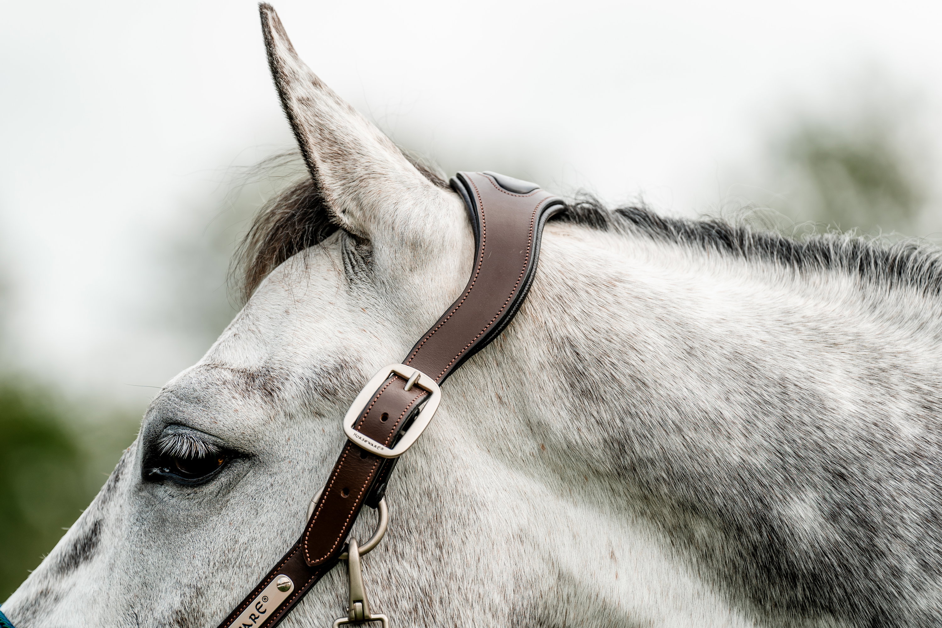 Horseware Halfter Signature Braided