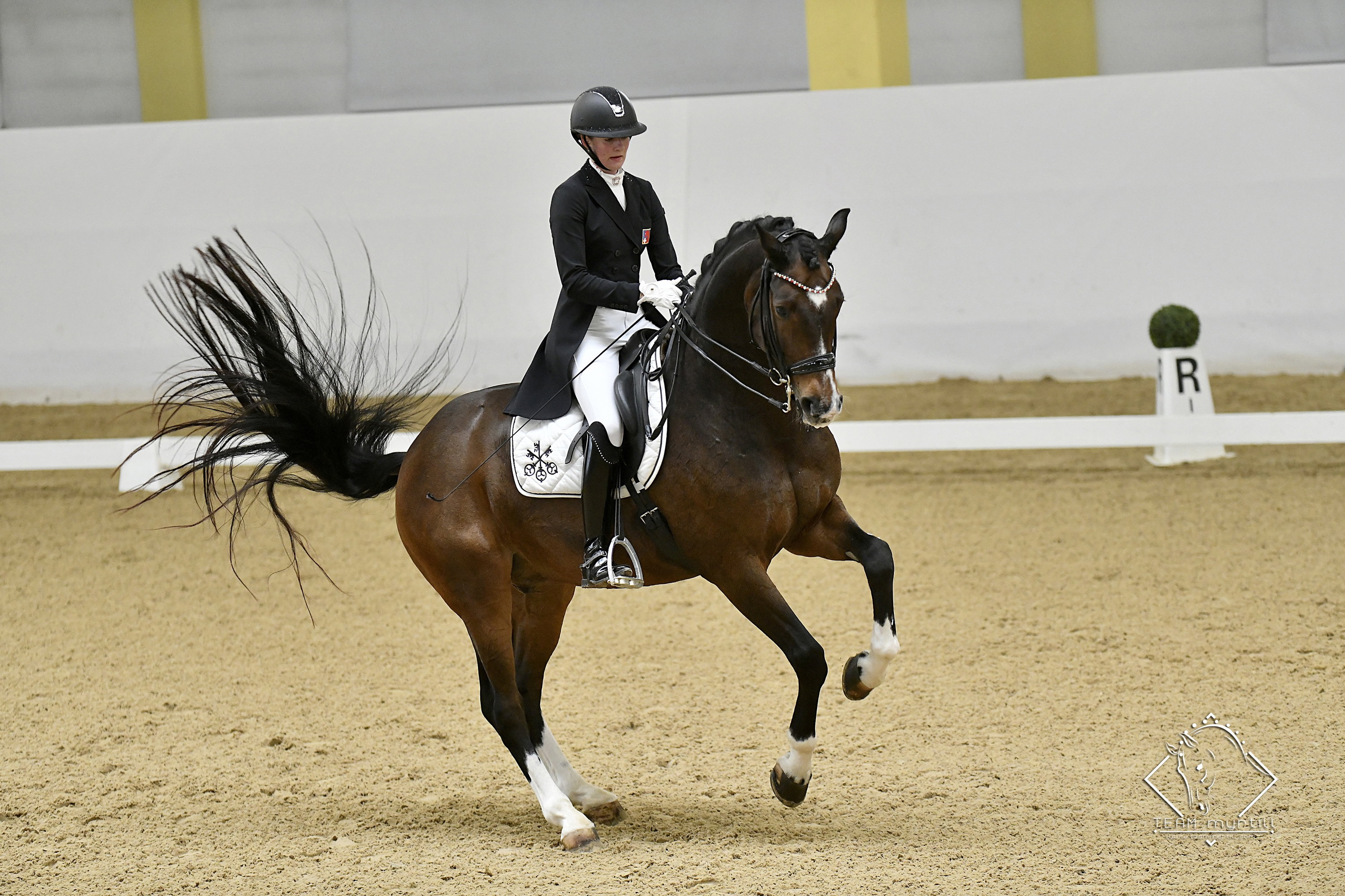 sulzer-m-m