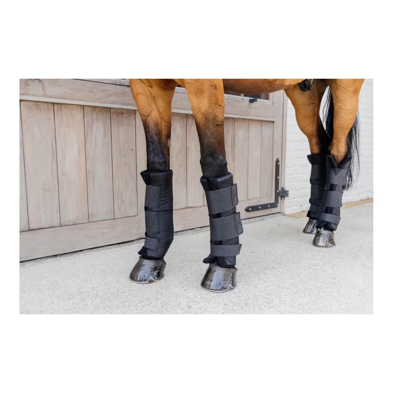 Kentucky Stallgamaschen PROtect classic vorne