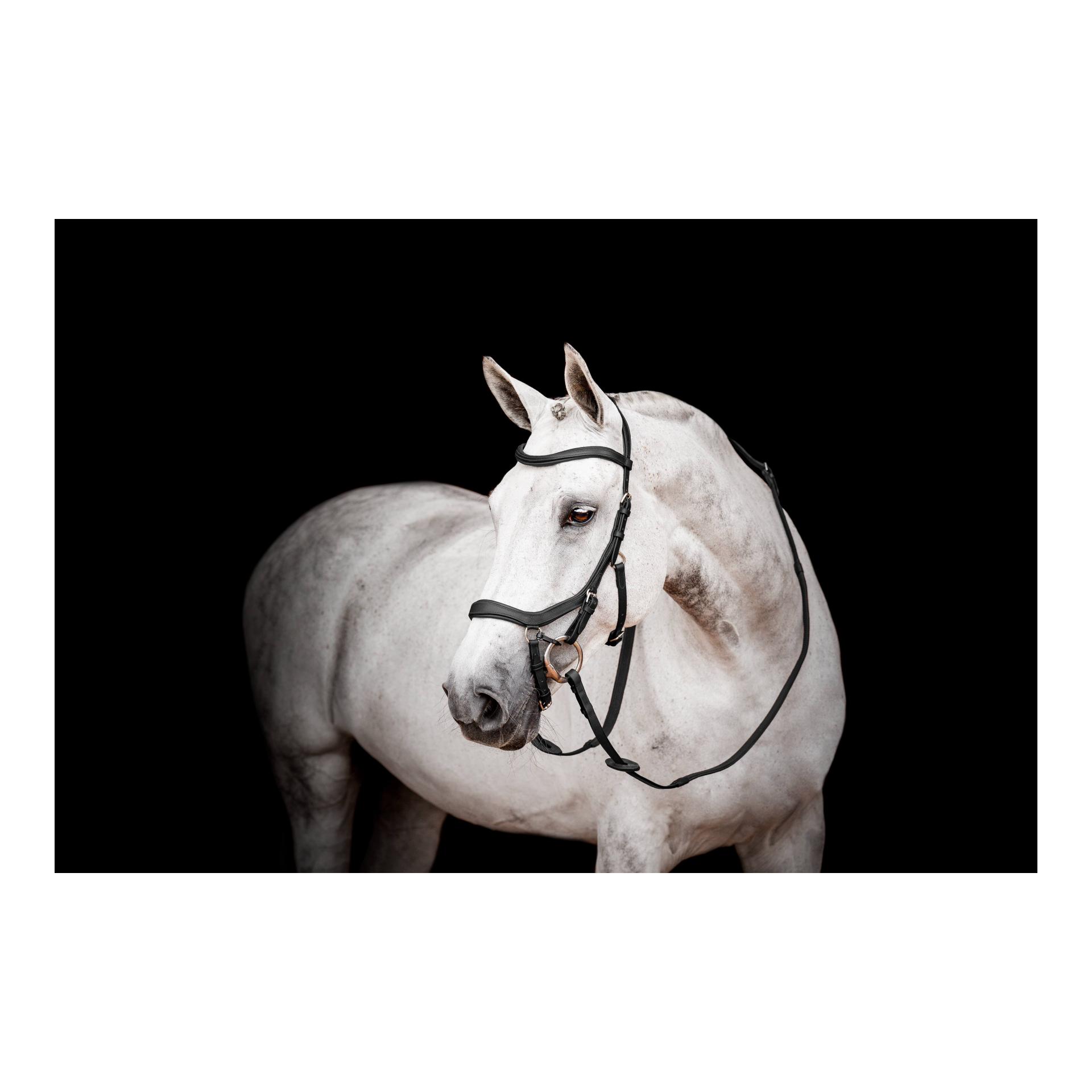 Horseware Zaum Micklem3 Competiton ohne Zügel
