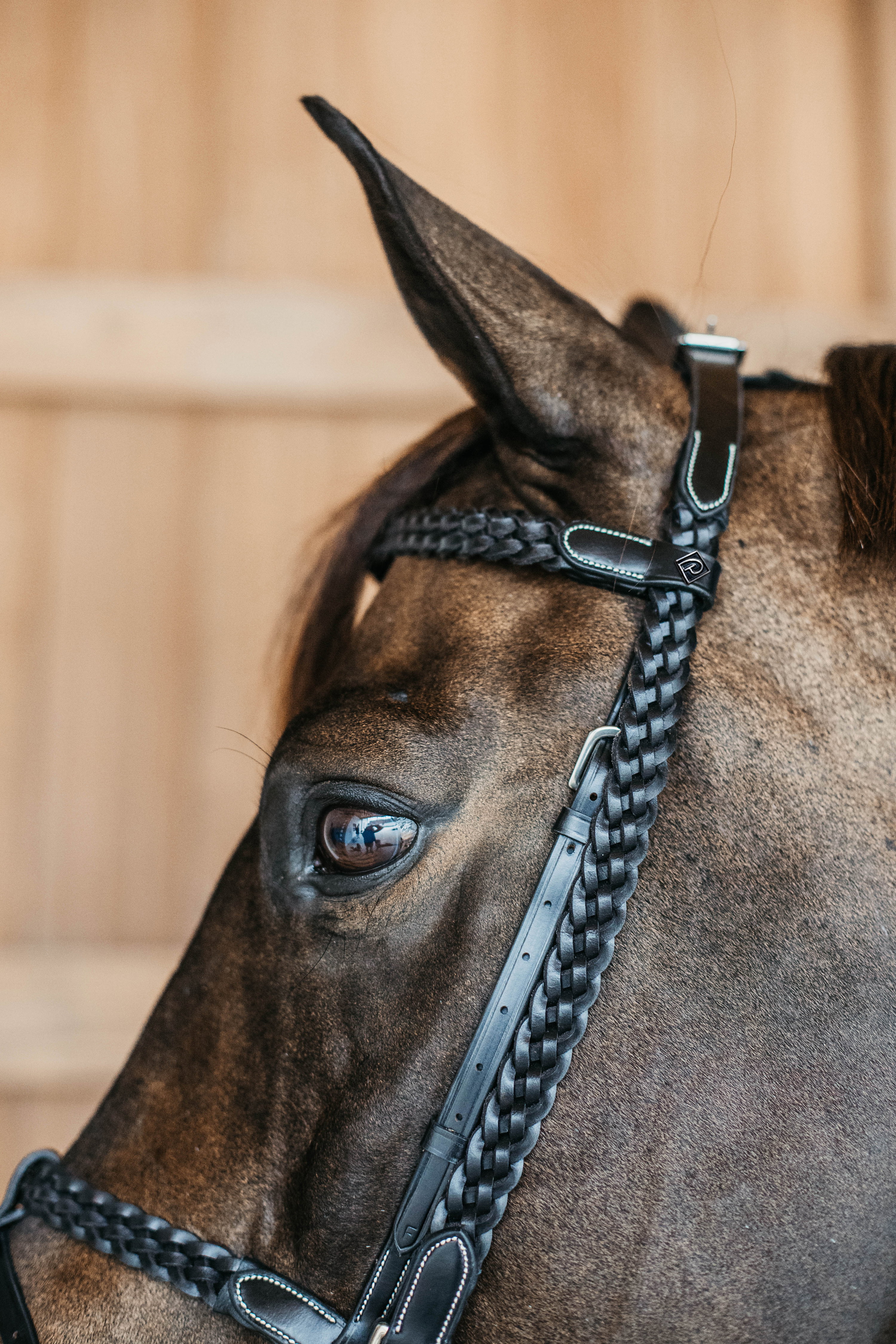 Dy'on Trainingszaum geflochten Working by Dy'on