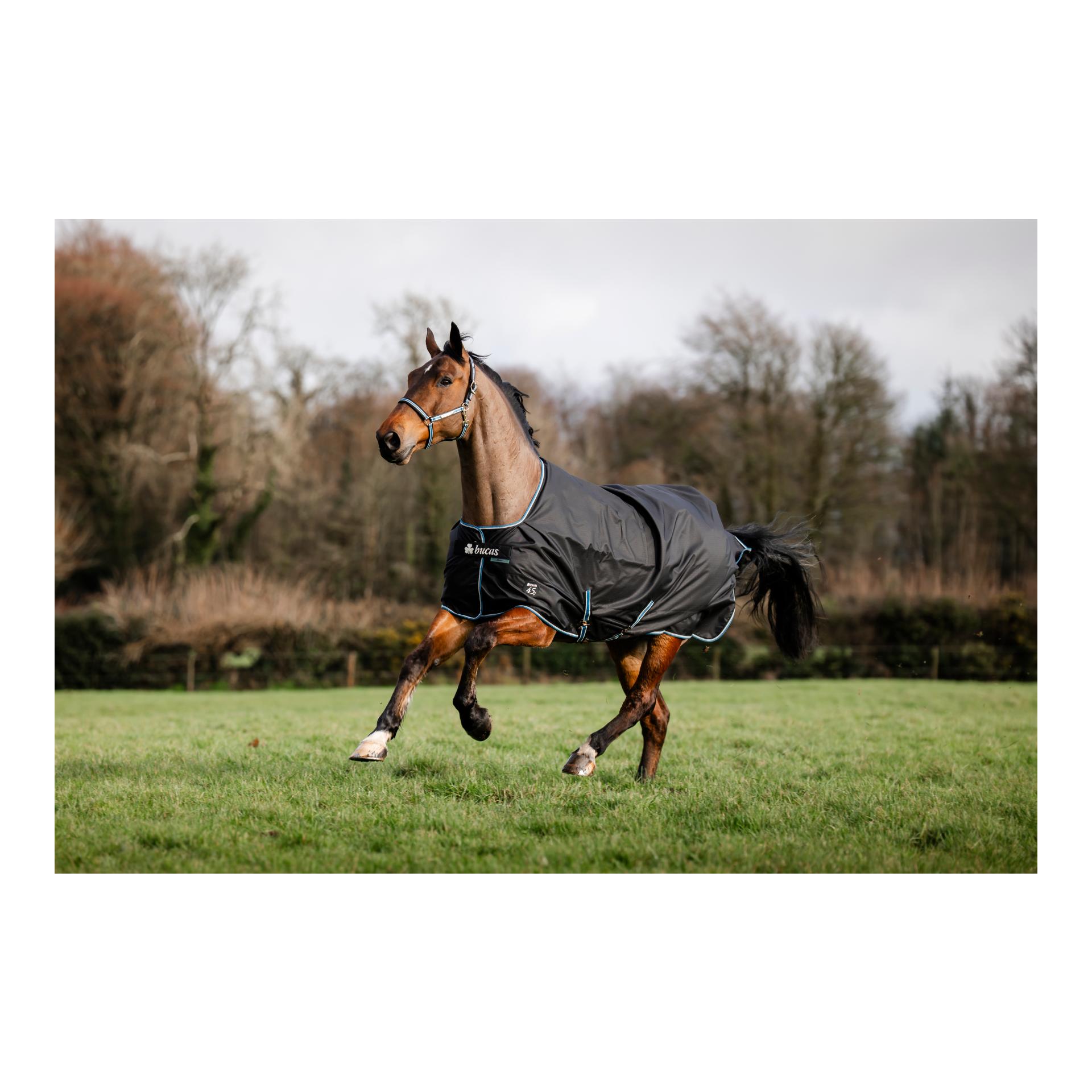 Bucas Couverture d'extérieur Anniversary Turnout 150g SD