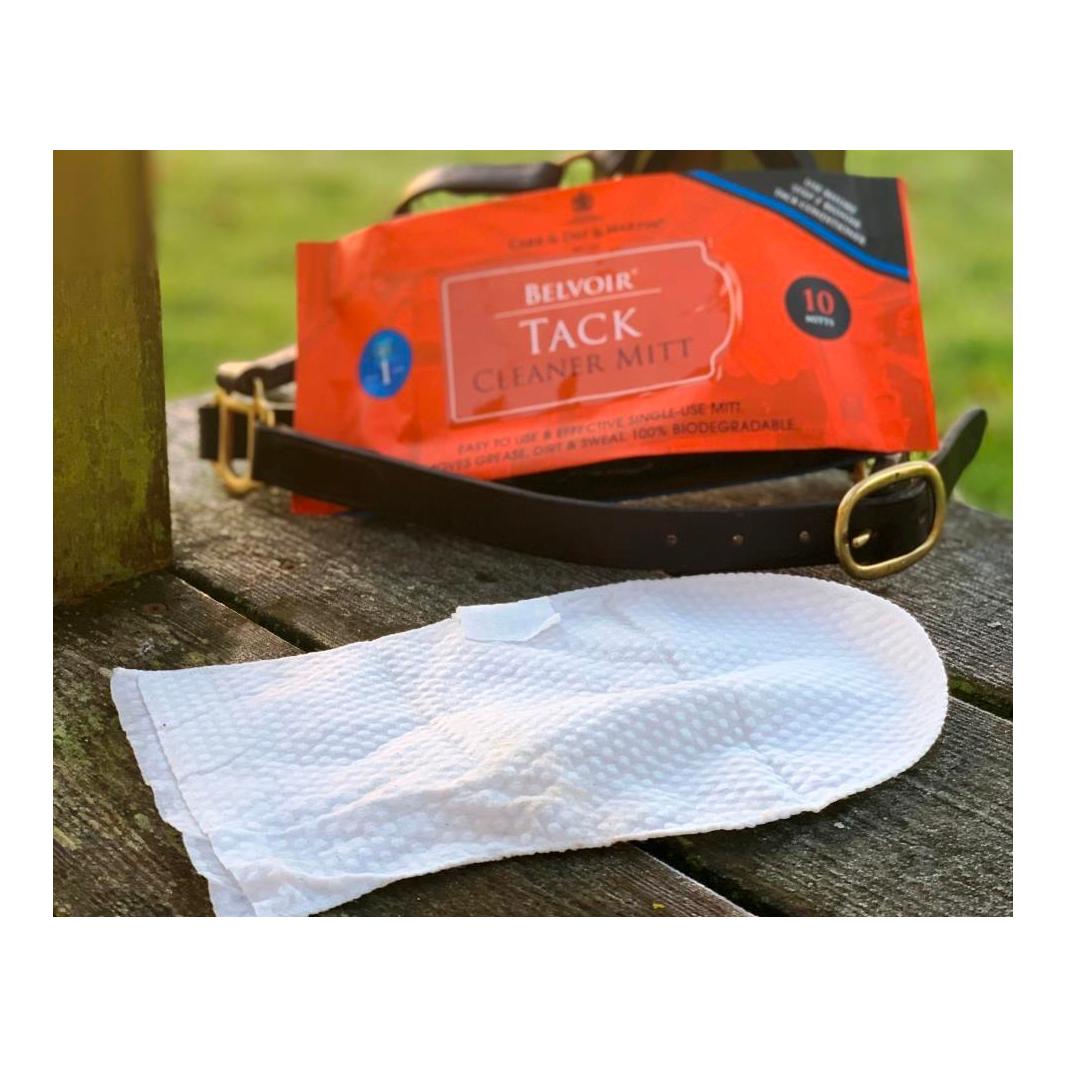 Carr & Day & Martin Tack Cleaner Handschuh