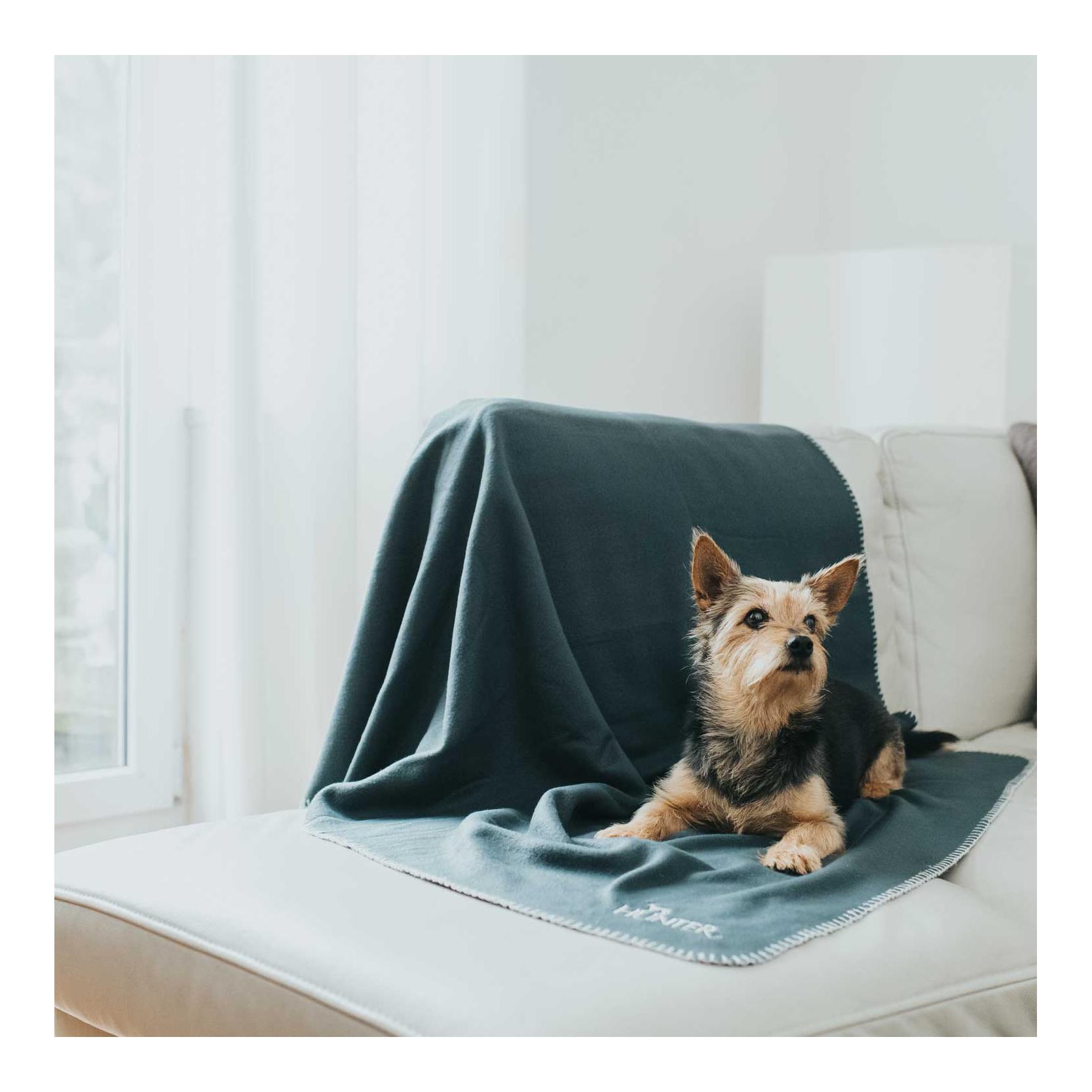 Hunter Couverture pour chien Casper