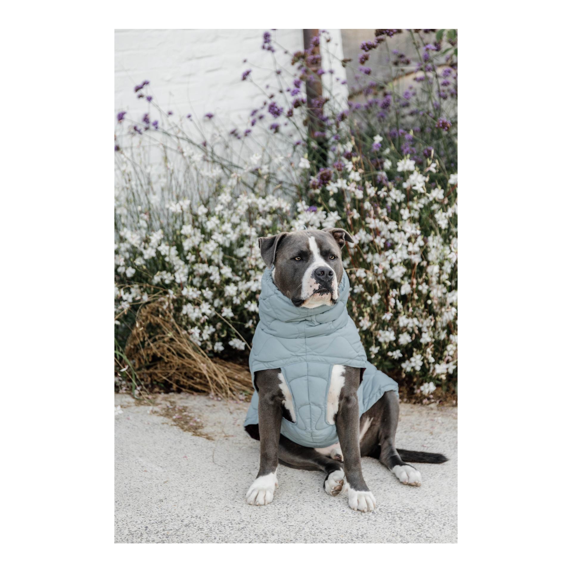 Kentucky Dogwear Manteau pour chien Pina - 160 g