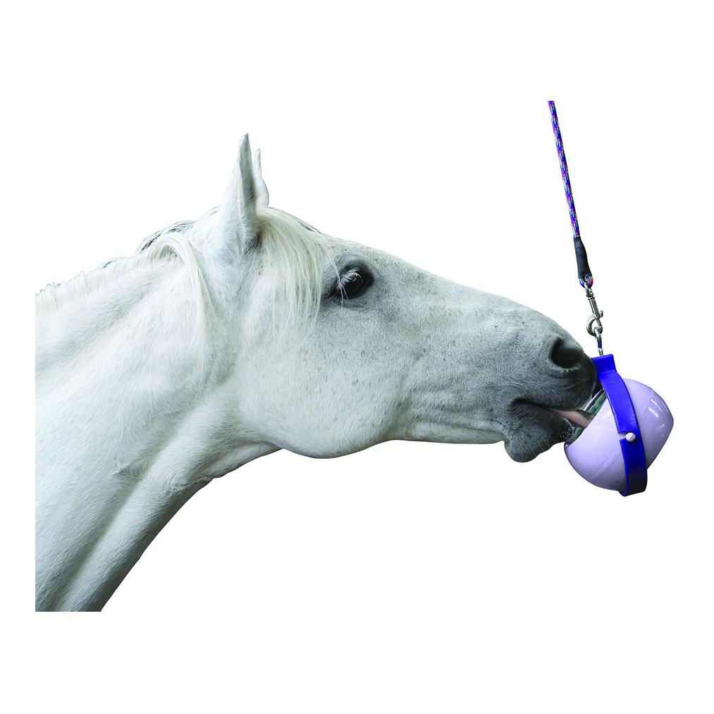 Likit Boredom Buster