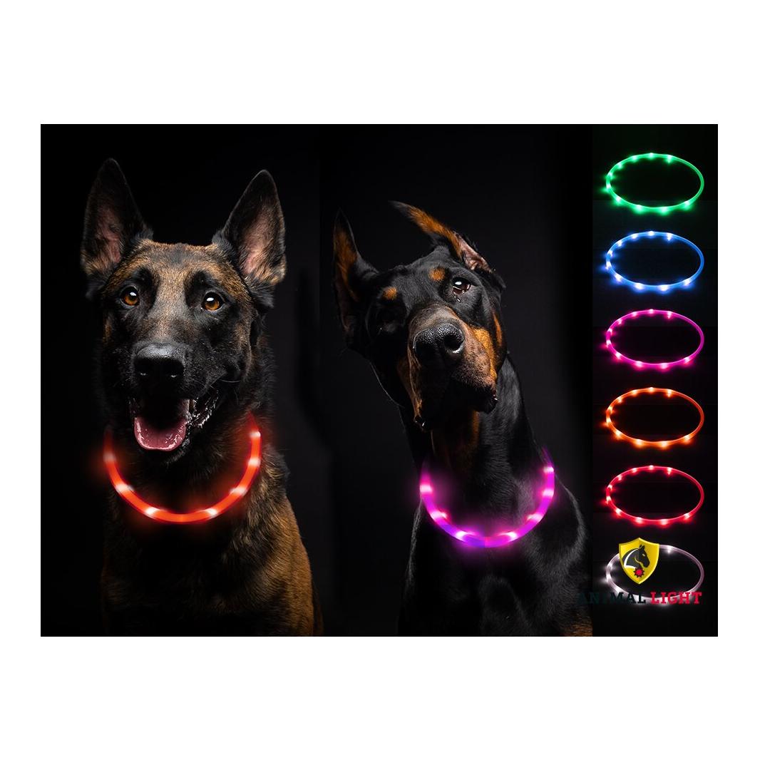 Animal Light Leucht-Hundehalsband Flex