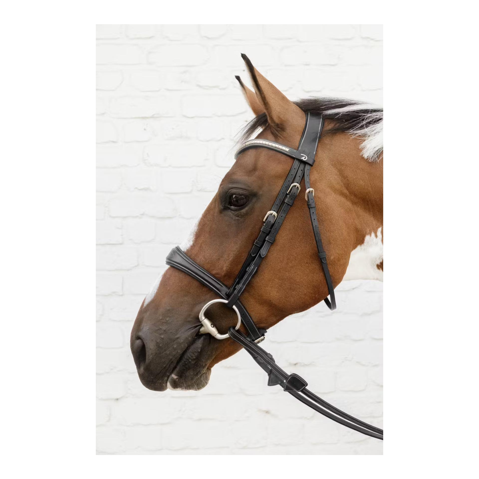 Dy'on Anatomic noseband without flash D Collection