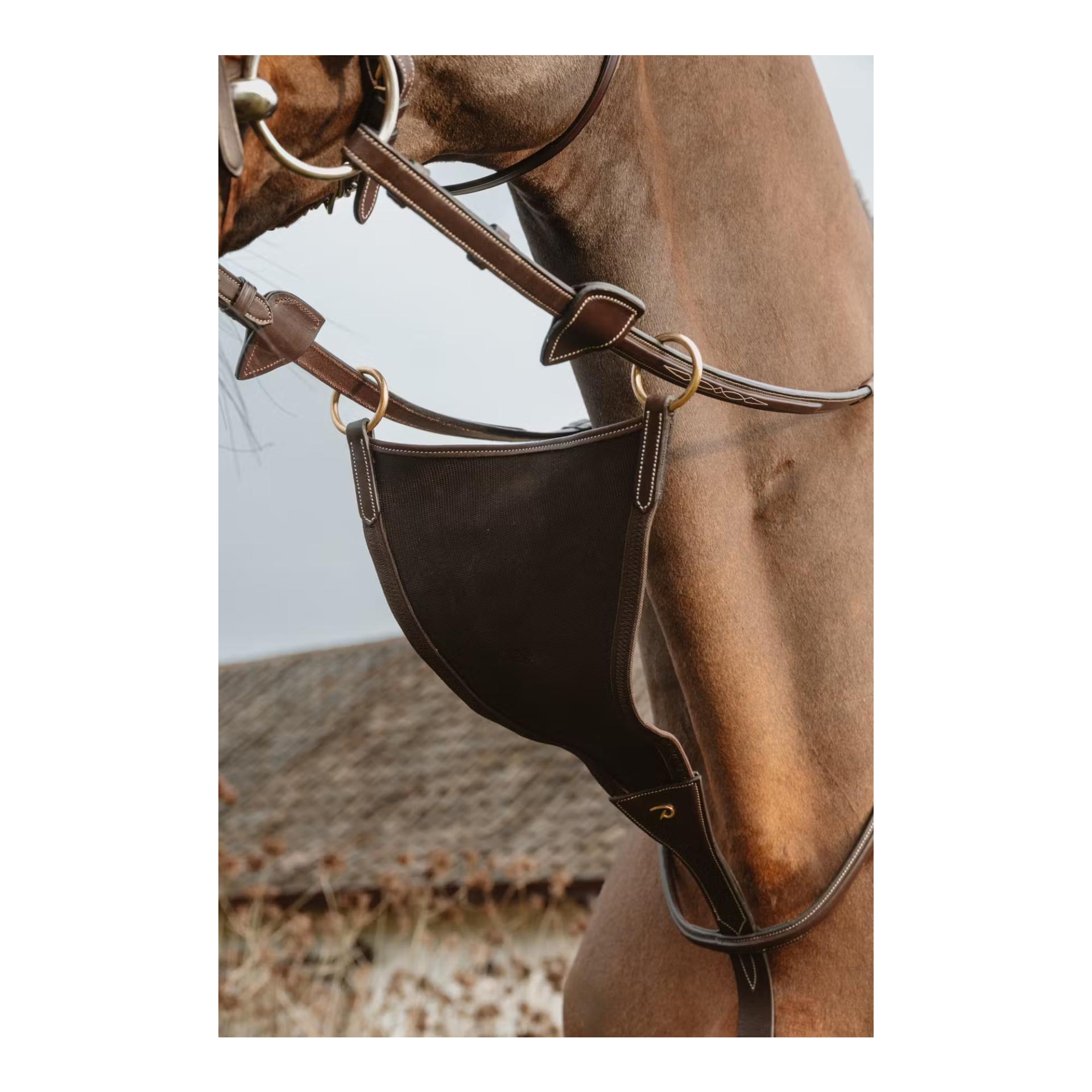 Dy'on Geschlossene Elastische Martingal