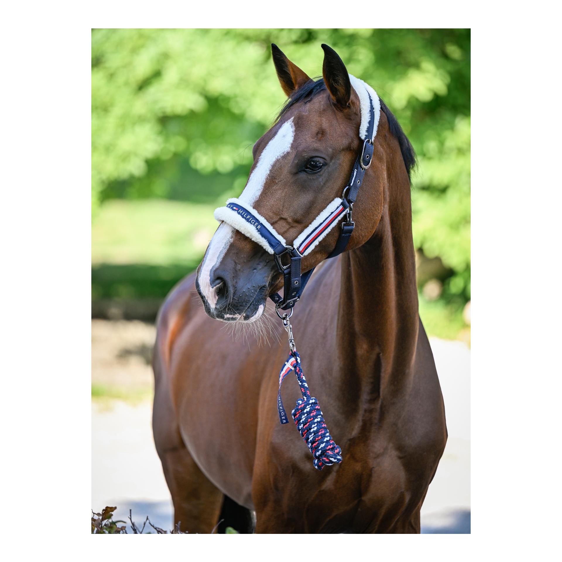 Tommy Hilfiger Equestrian Halfter Set Yale mit Strick