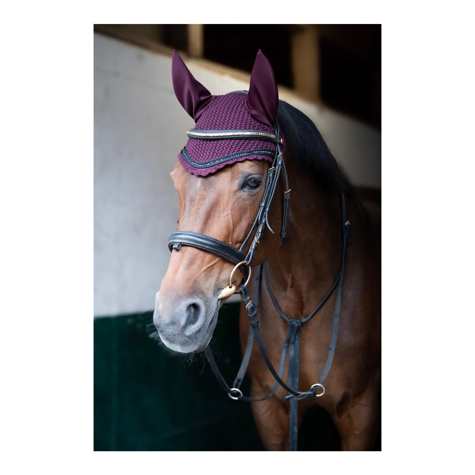 Eskadron Fil d'oreille Regular