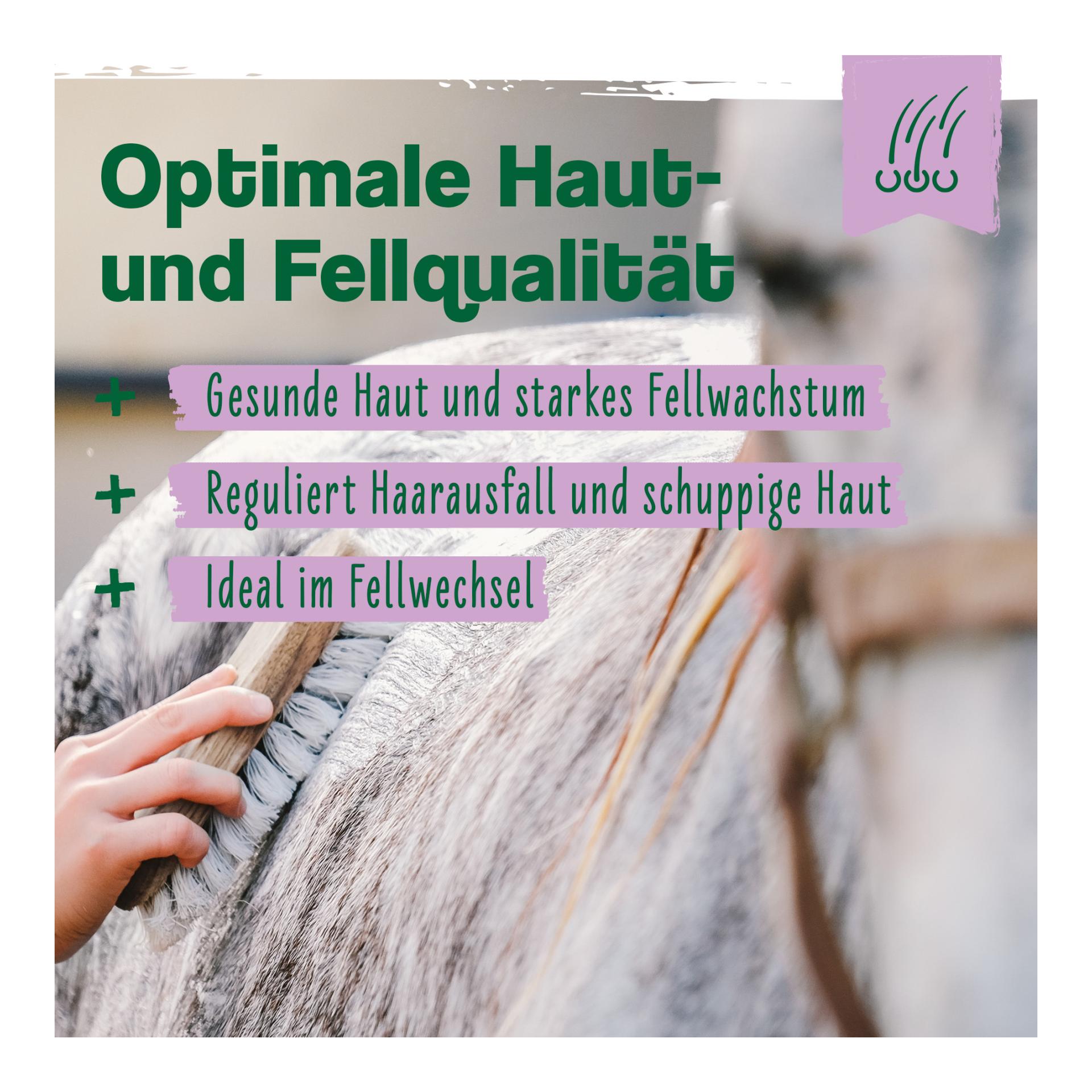 IdaPlus Biotine + zinc pour chevaux - hautement dosé - améliore la qualité et la croissance des sabots
