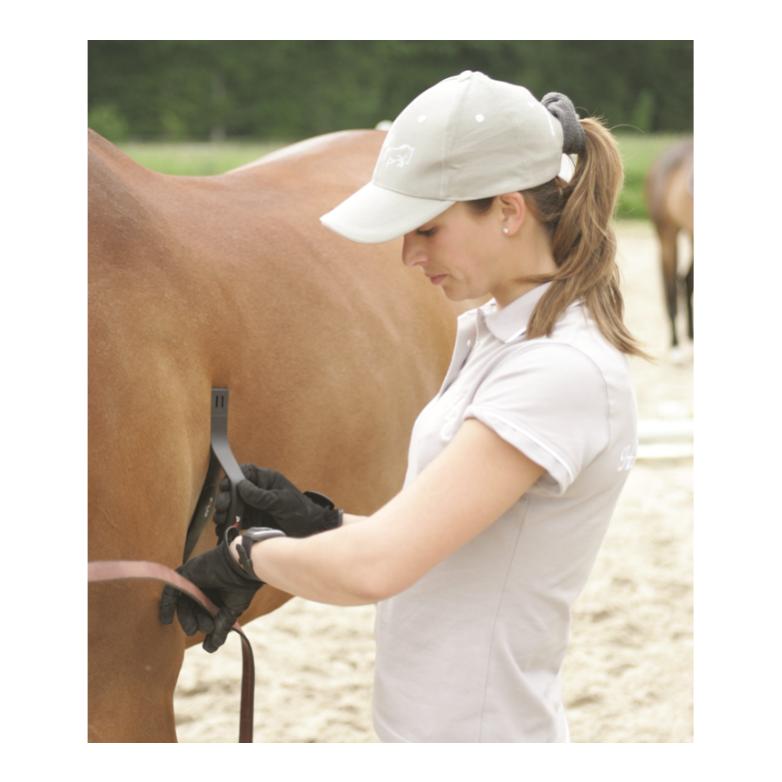 Polar Equine Healthcheck H10