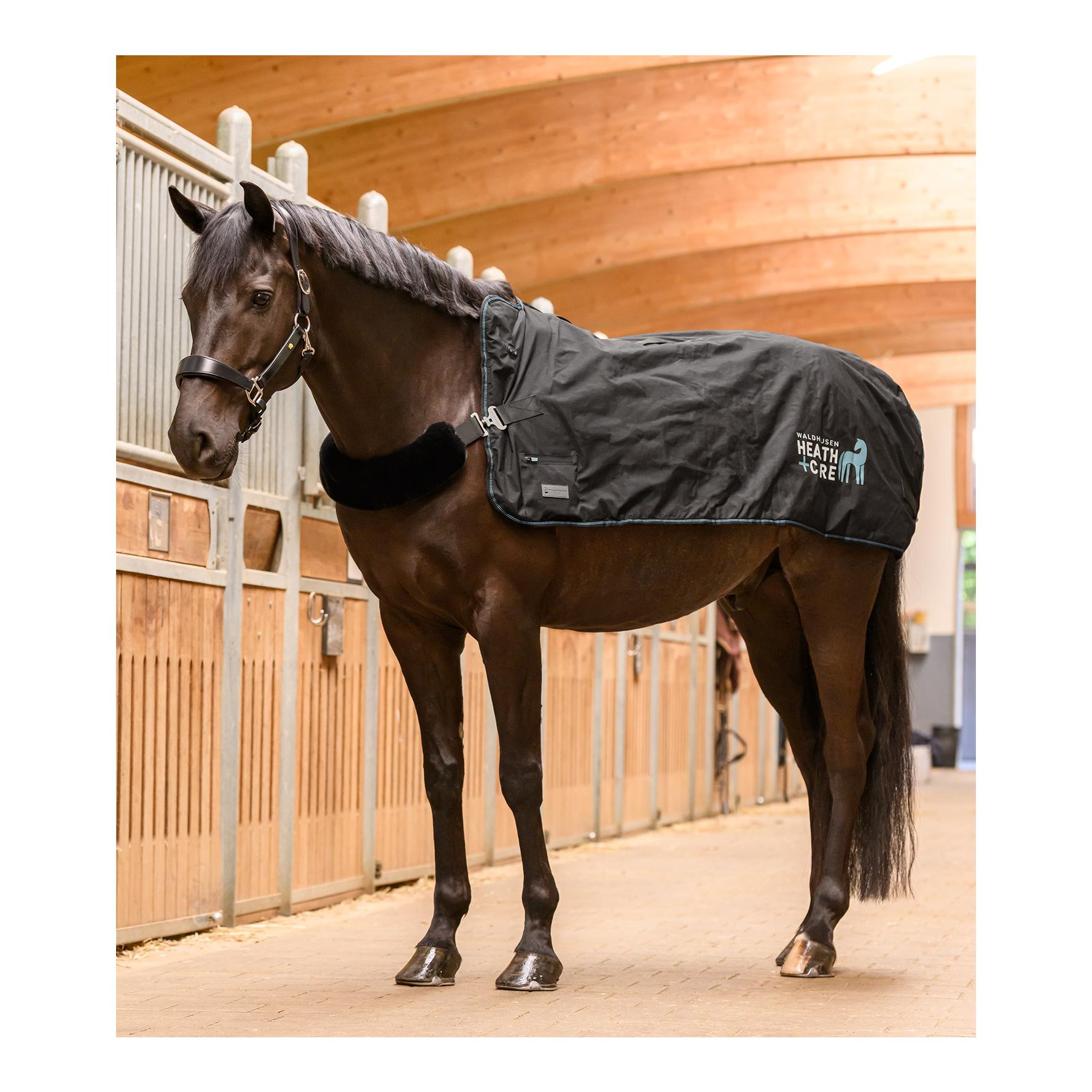 Health + Care Health + Care TecSupreme Heiz- & Massagedecke