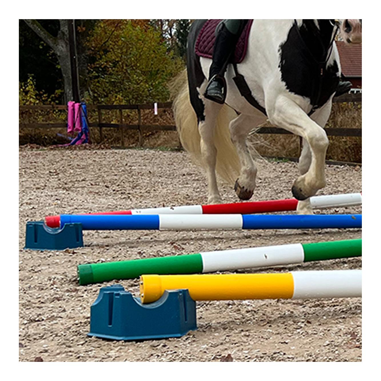 Soulhorse Ponylettis Stangenblock - pink
