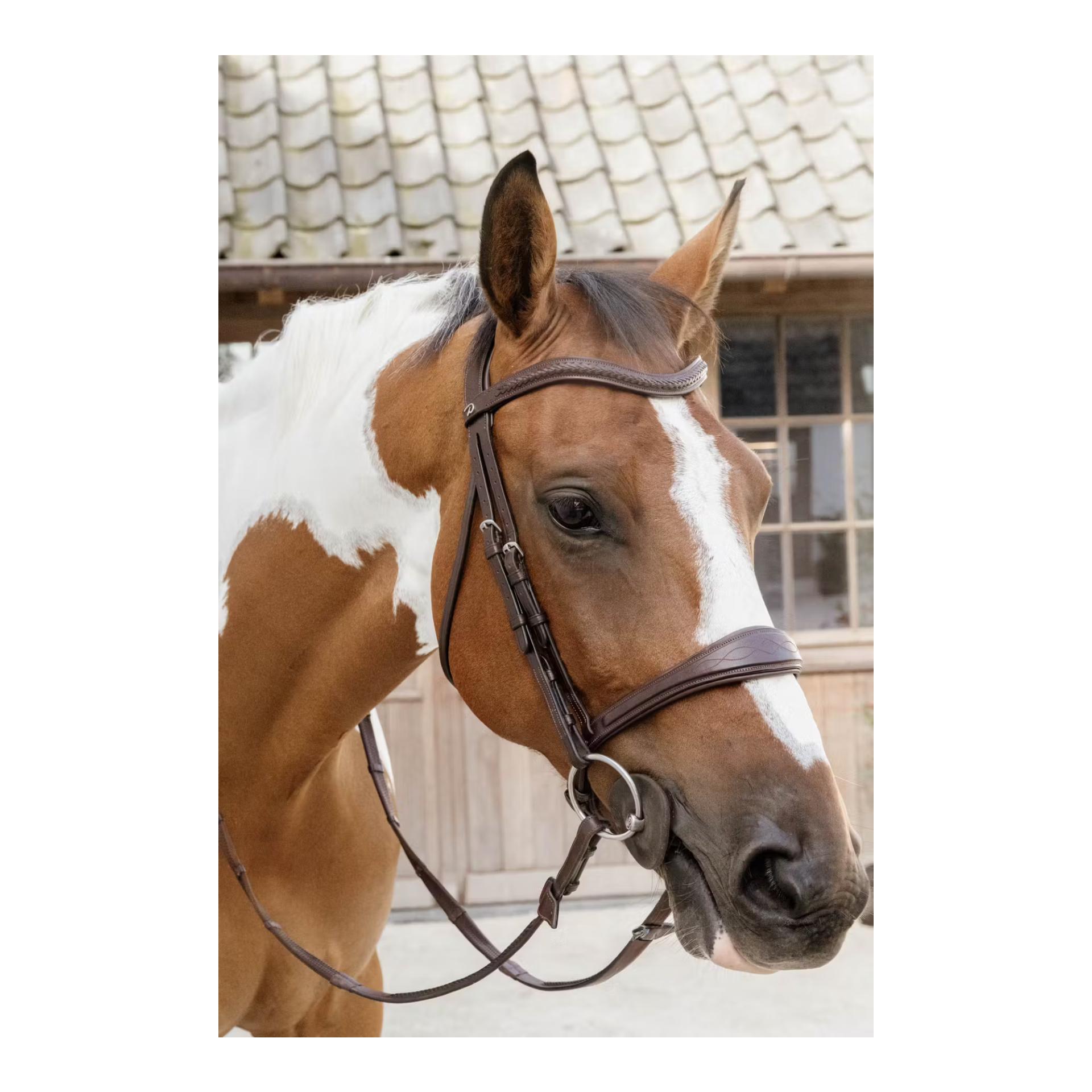 Dy'on Anatomic noseband without flash