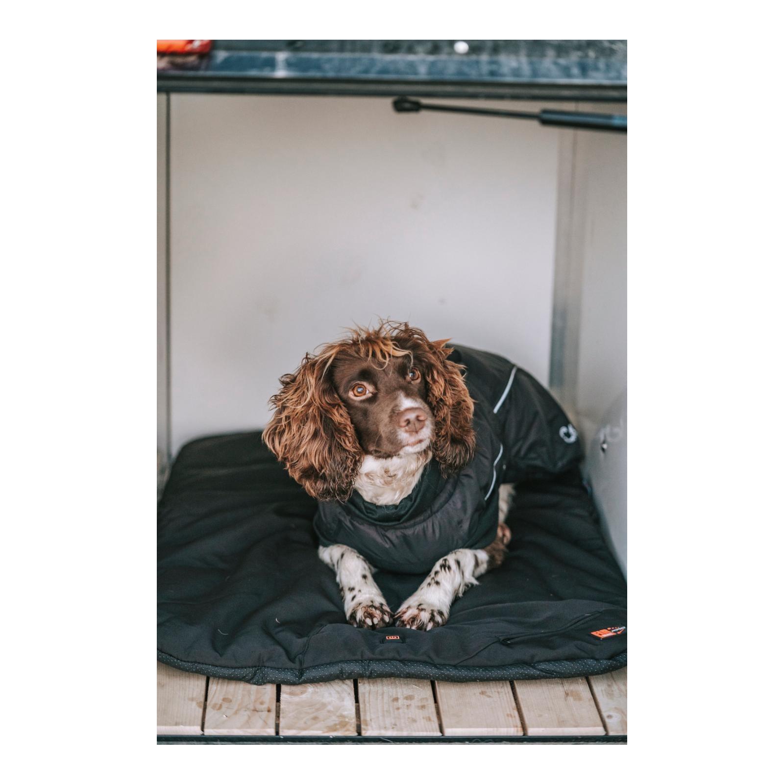 Catago Coussin pour chien chauffé FIR-Tech Pro