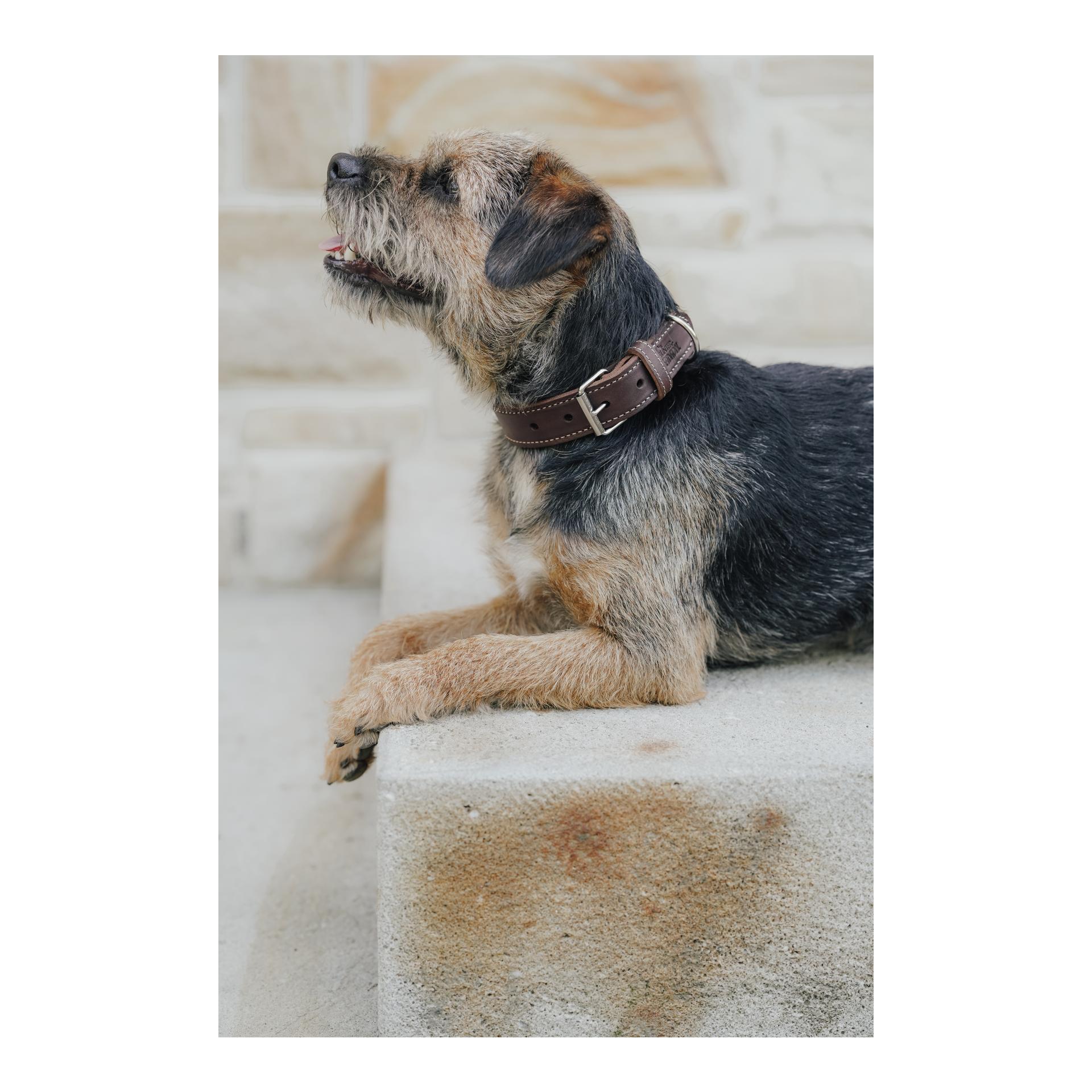 Eskadron Hundehalsband CRAFT