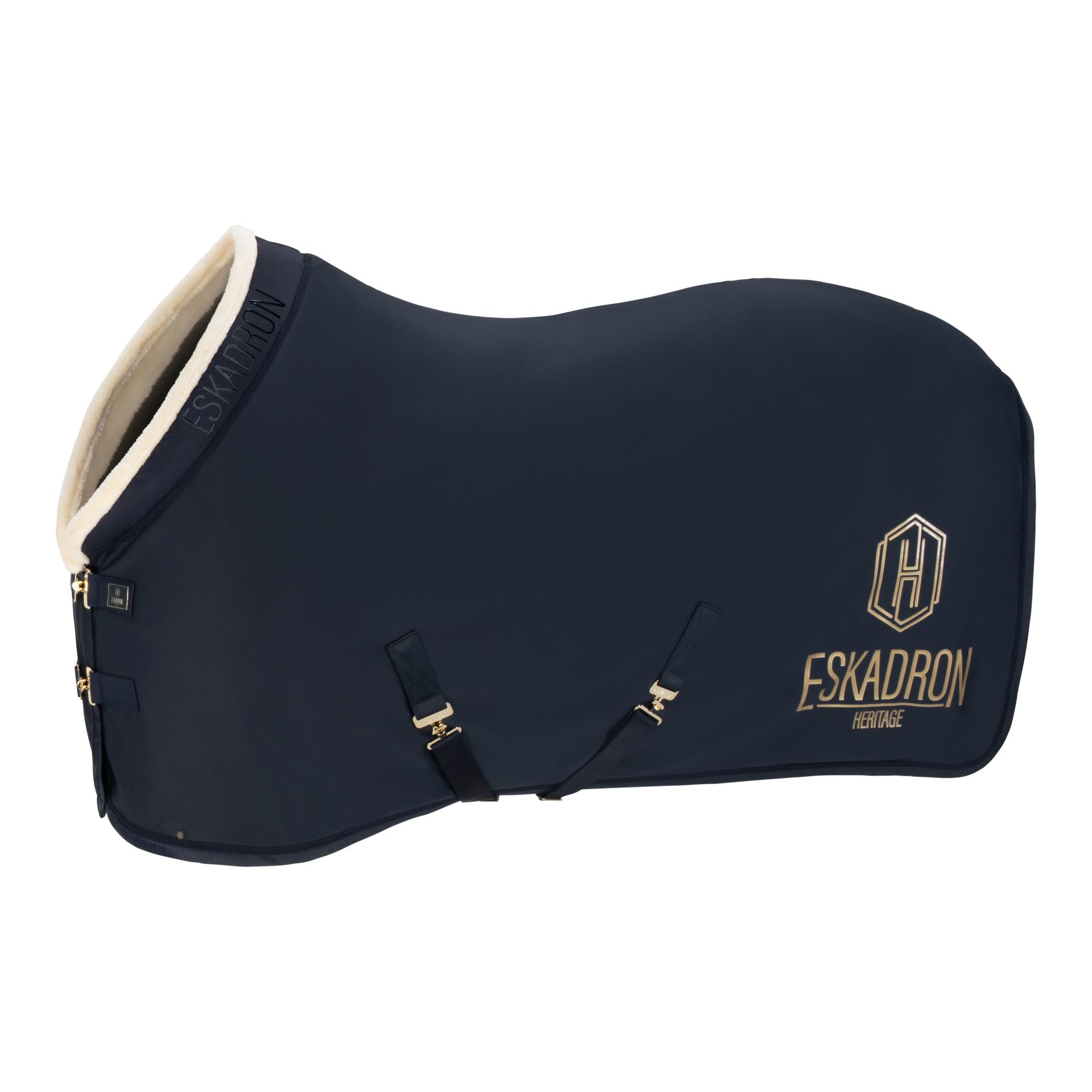 Eskadron Abschwitzdecke Aerial Jersey Heritage 25/26