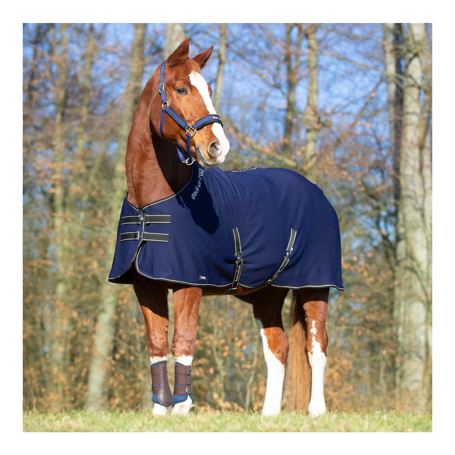 Back on Track Abschwitzdecke Quick Cooler