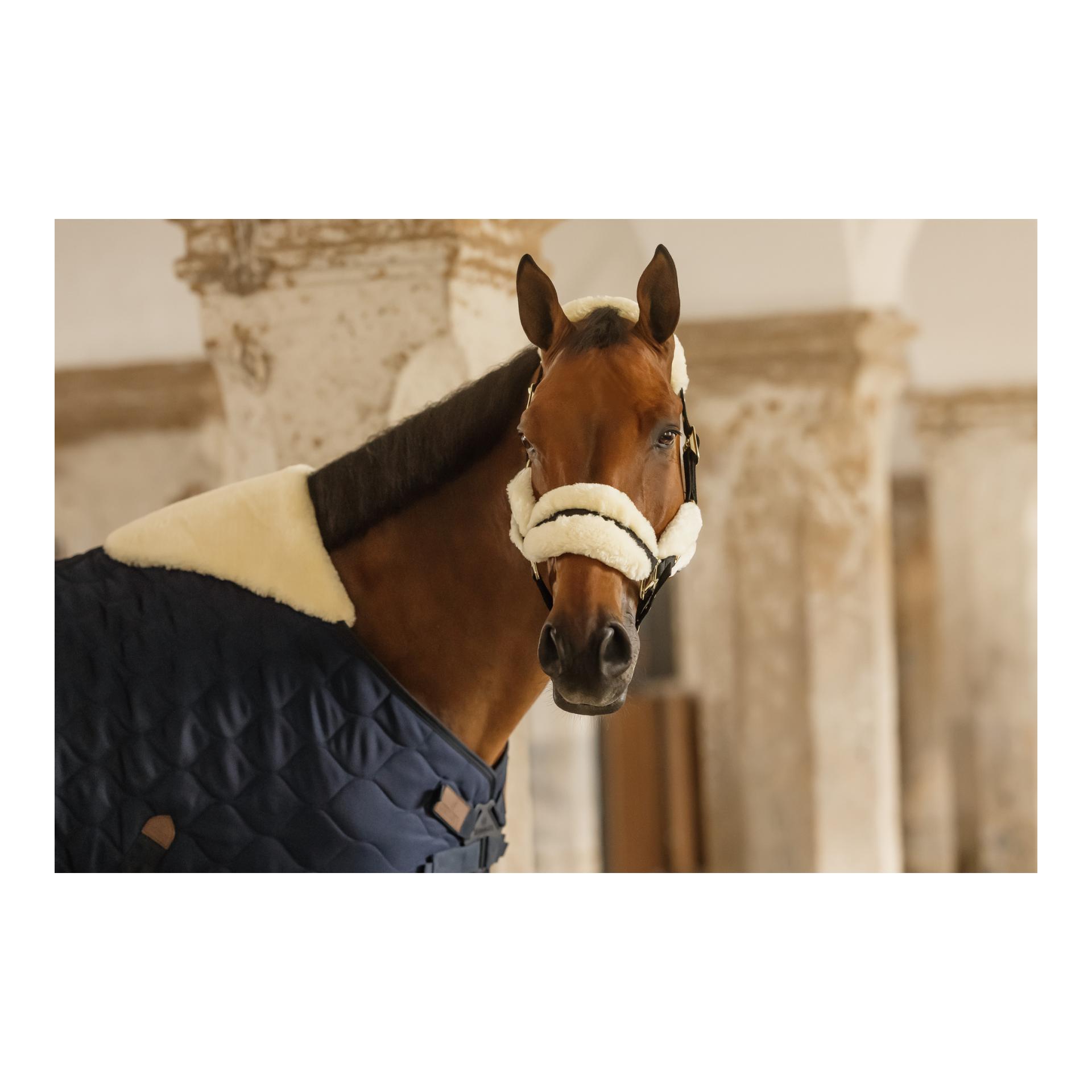 Kentucky Stalldecke Comfort 100g und Halfter Nylon sheepskin soft Set