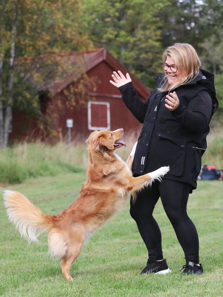 Uhip Gilet pour maître-chien Pro Dog