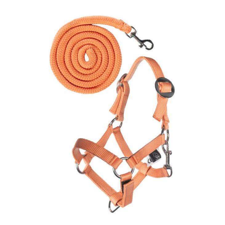 HKM Licol et longe -Hobby Horsing Basic