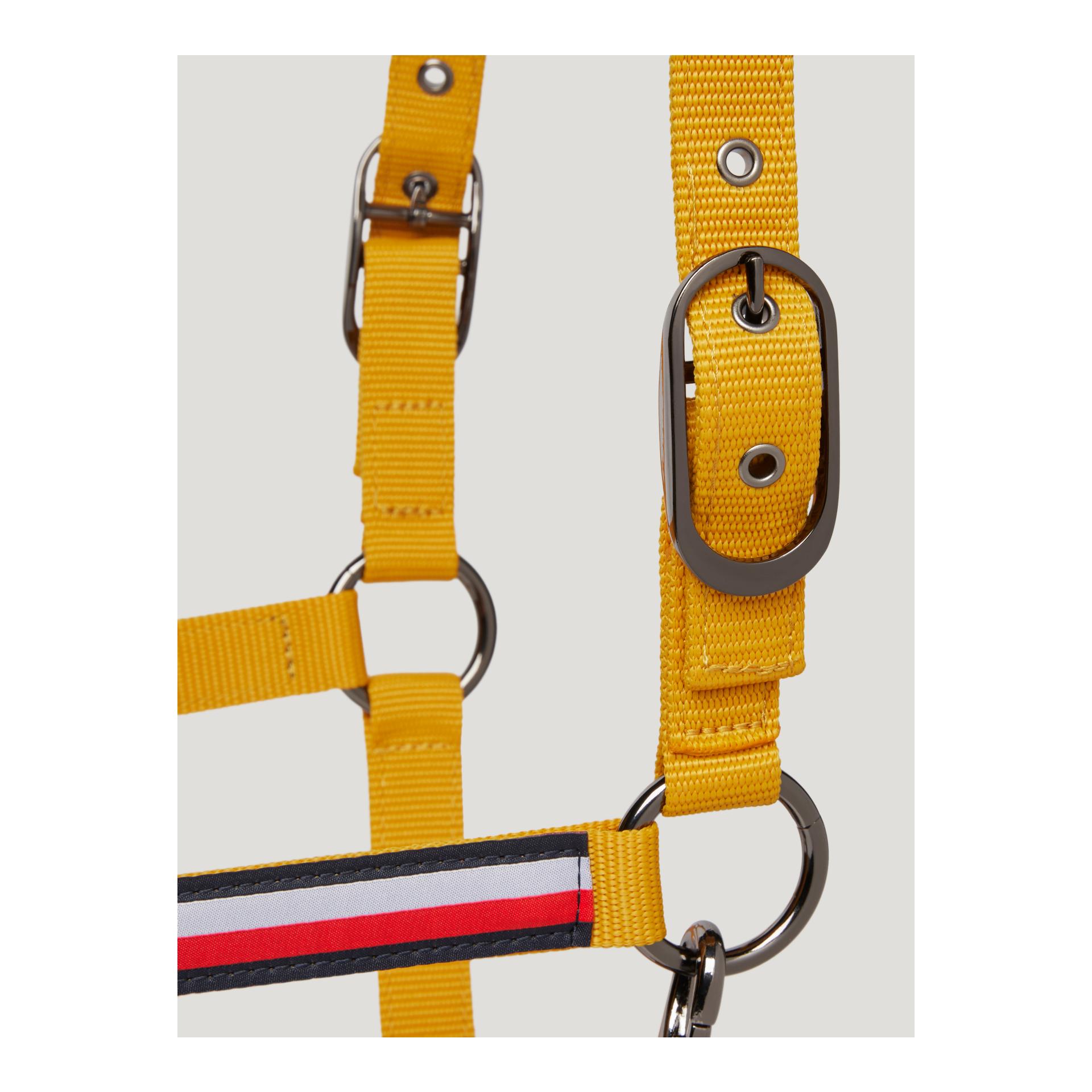 Tommy Hilfiger Equestrian 11x Ensemble licol et longe Yale