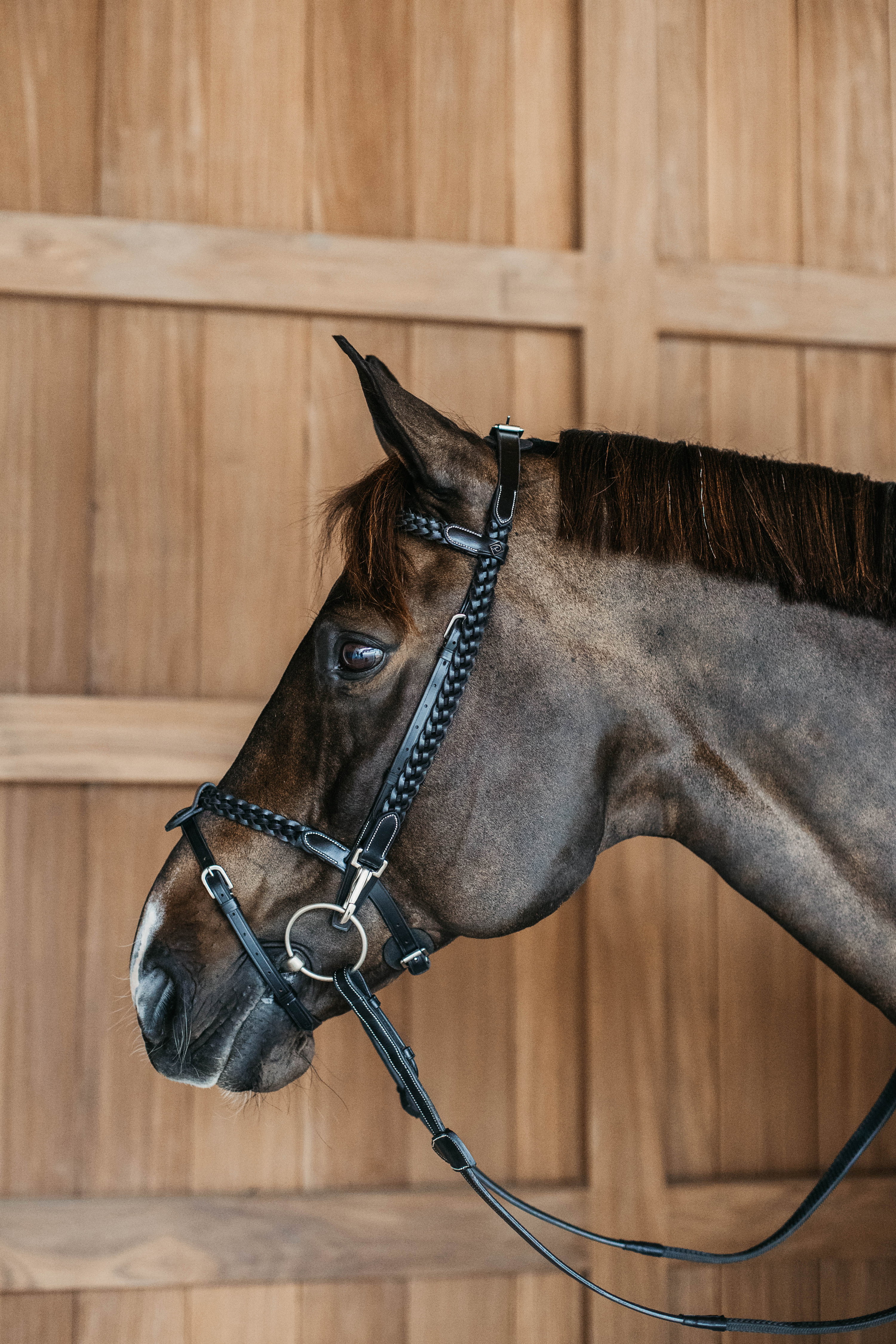 Dy'on Trainingszaum geflochten Working by Dy'on