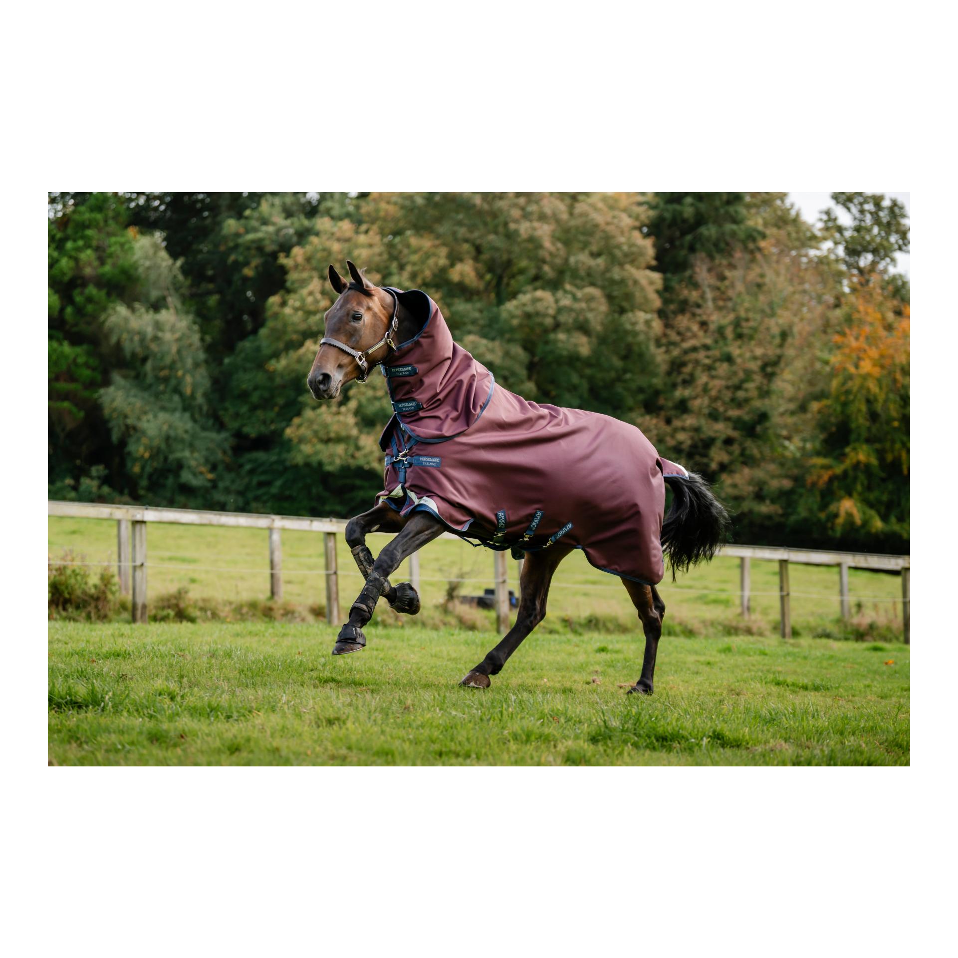 Horseware Weidedecke mit Halsteil Amigo 12 Plus 250g