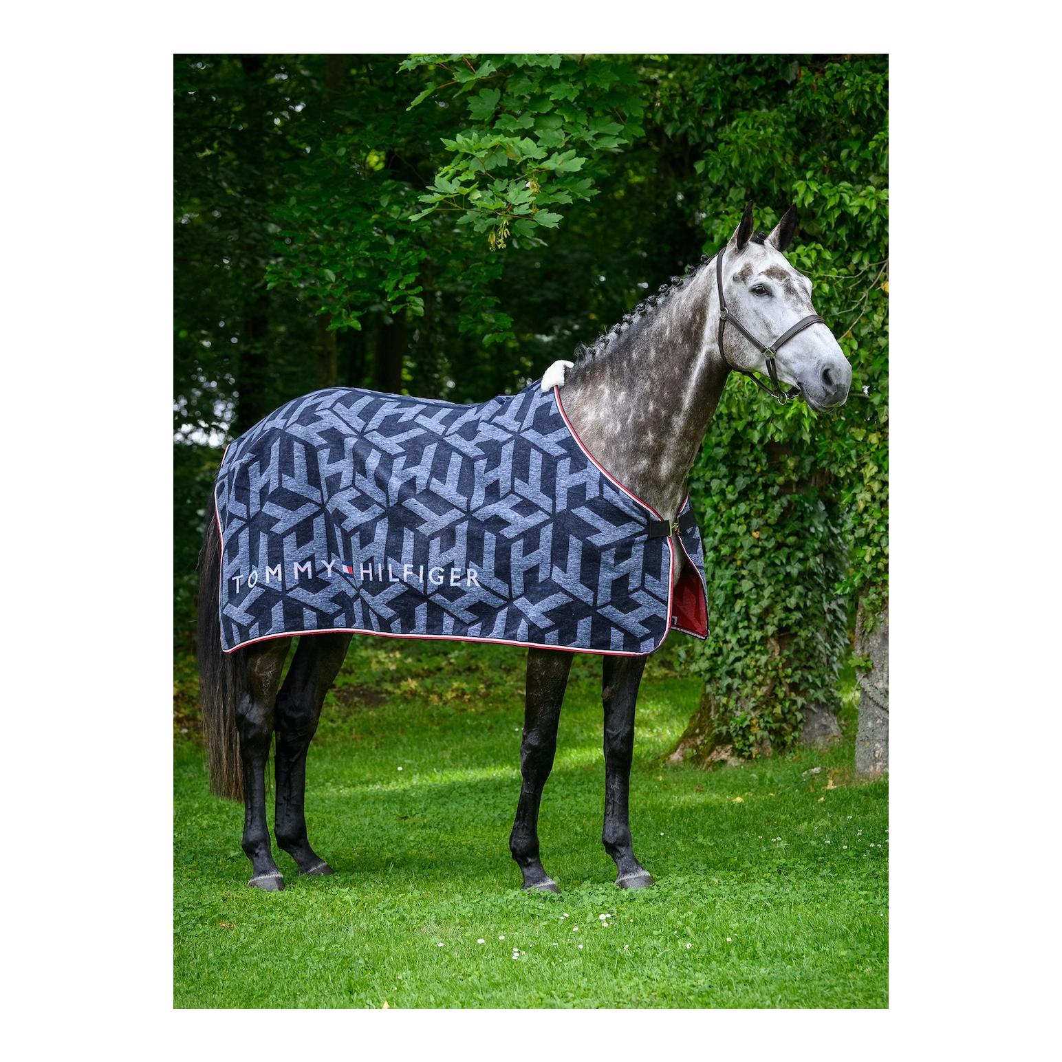 Couverture séchante TH Performance Dralon Allover Monogram DESERT SKY S