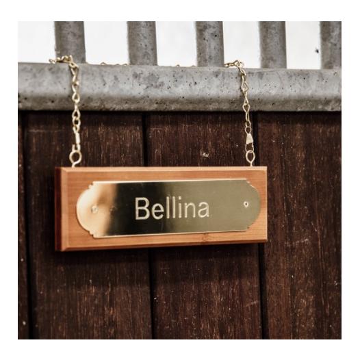 Grooming Deluxe Namensschild Gold - braun